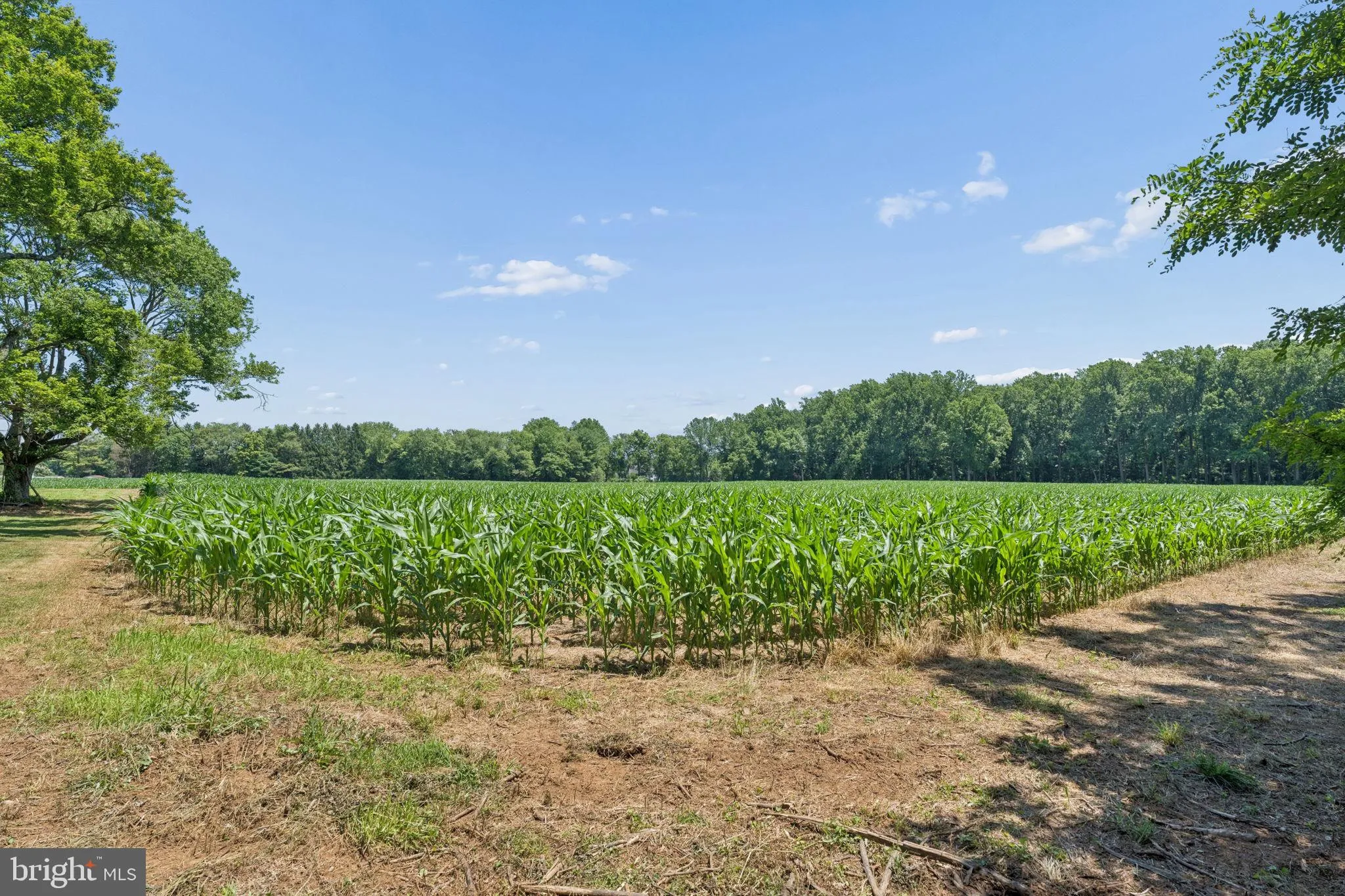 Additional image 94 of 7219 New Cut Road, Kingsville, MD 21087