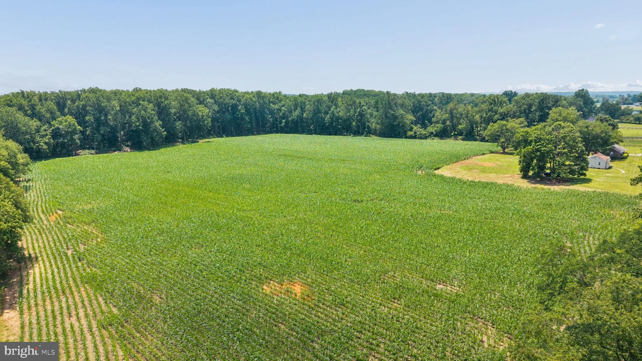 Additional image 81 of 7219 New Cut Road, Kingsville, MD 21087