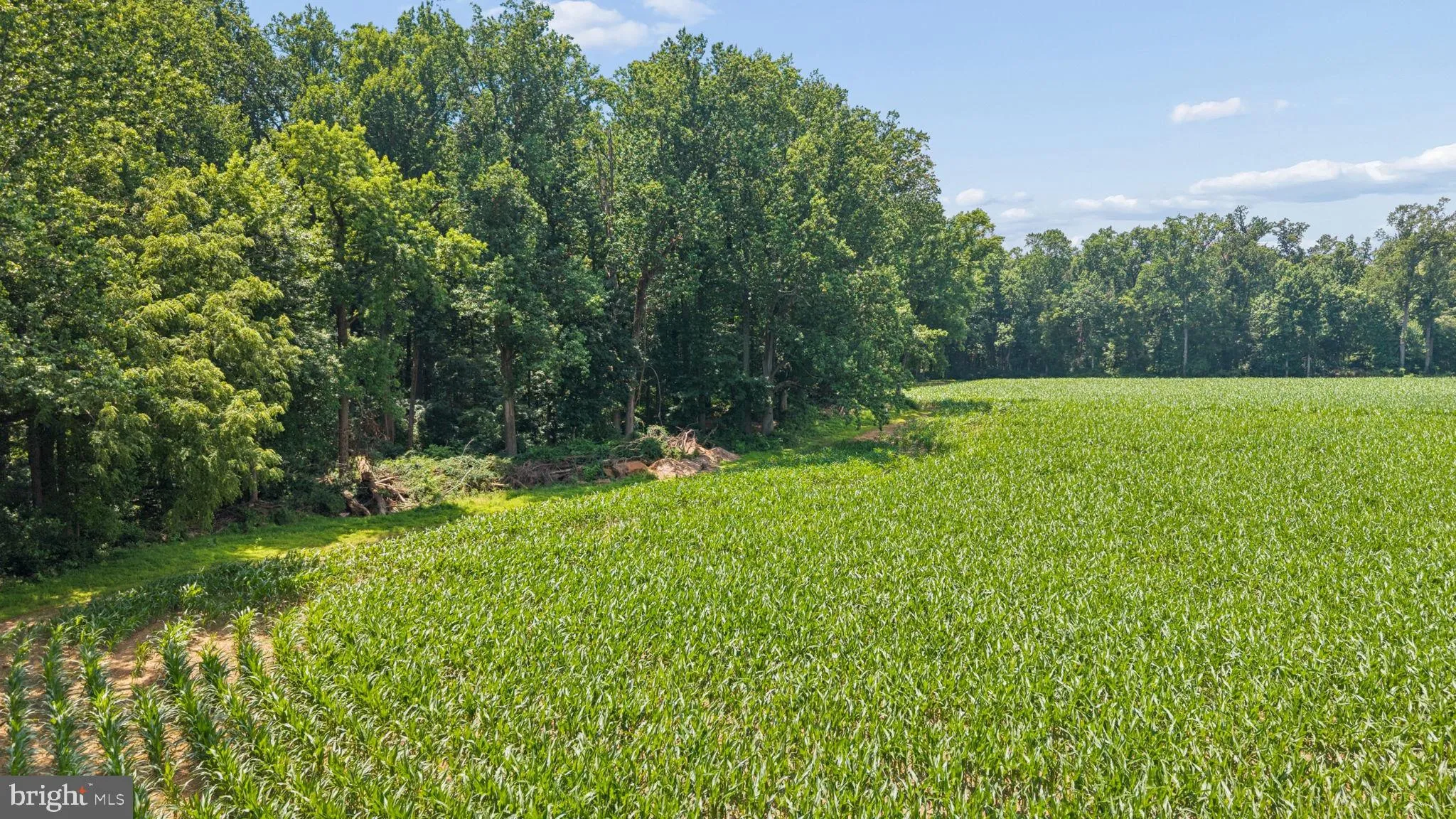 Additional image 82 of 7219 New Cut Road, Kingsville, MD 21087