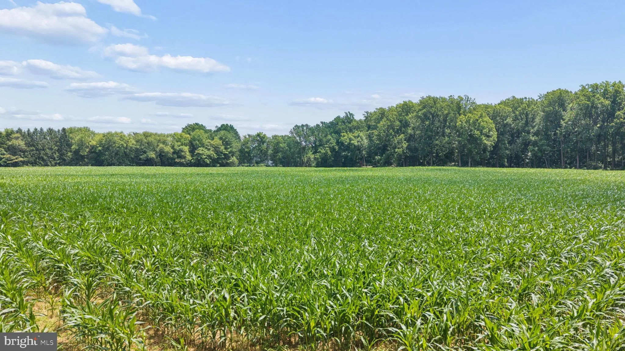 Additional image 86 of 7219 New Cut Road, Kingsville, MD 21087