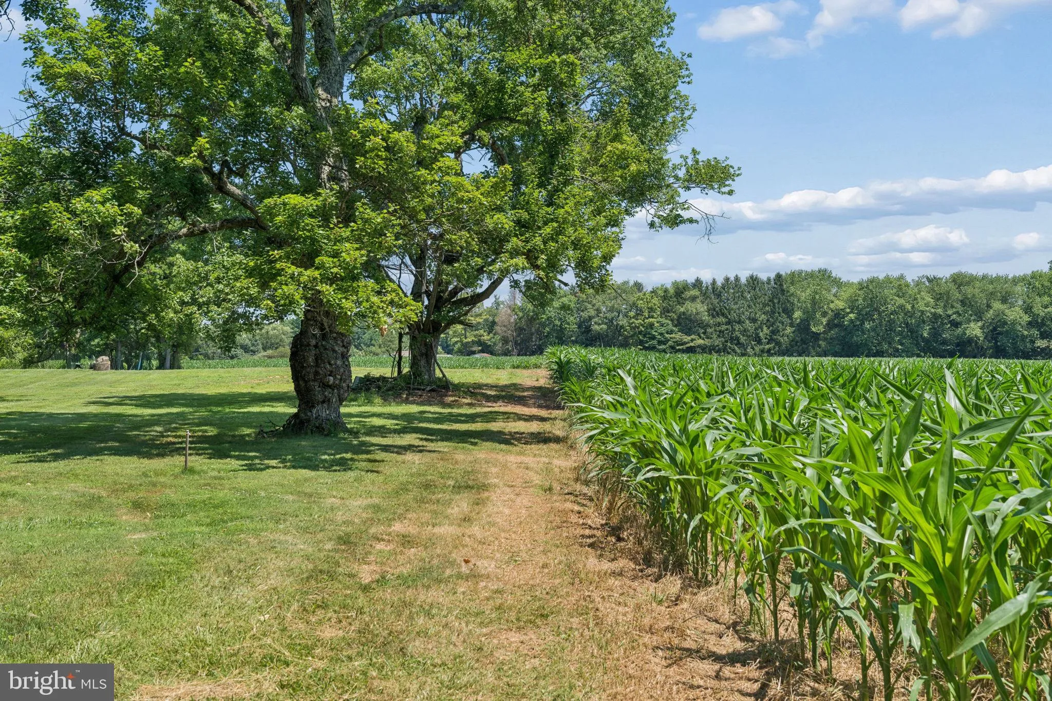 Additional image 96 of 7219 New Cut Road, Kingsville, MD 21087