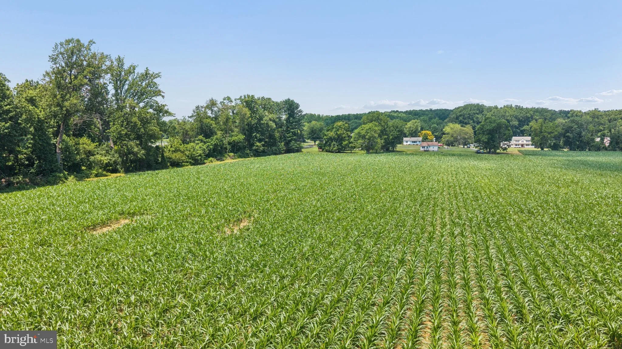 Additional image 84 of 7219 New Cut Road, Kingsville, MD 21087