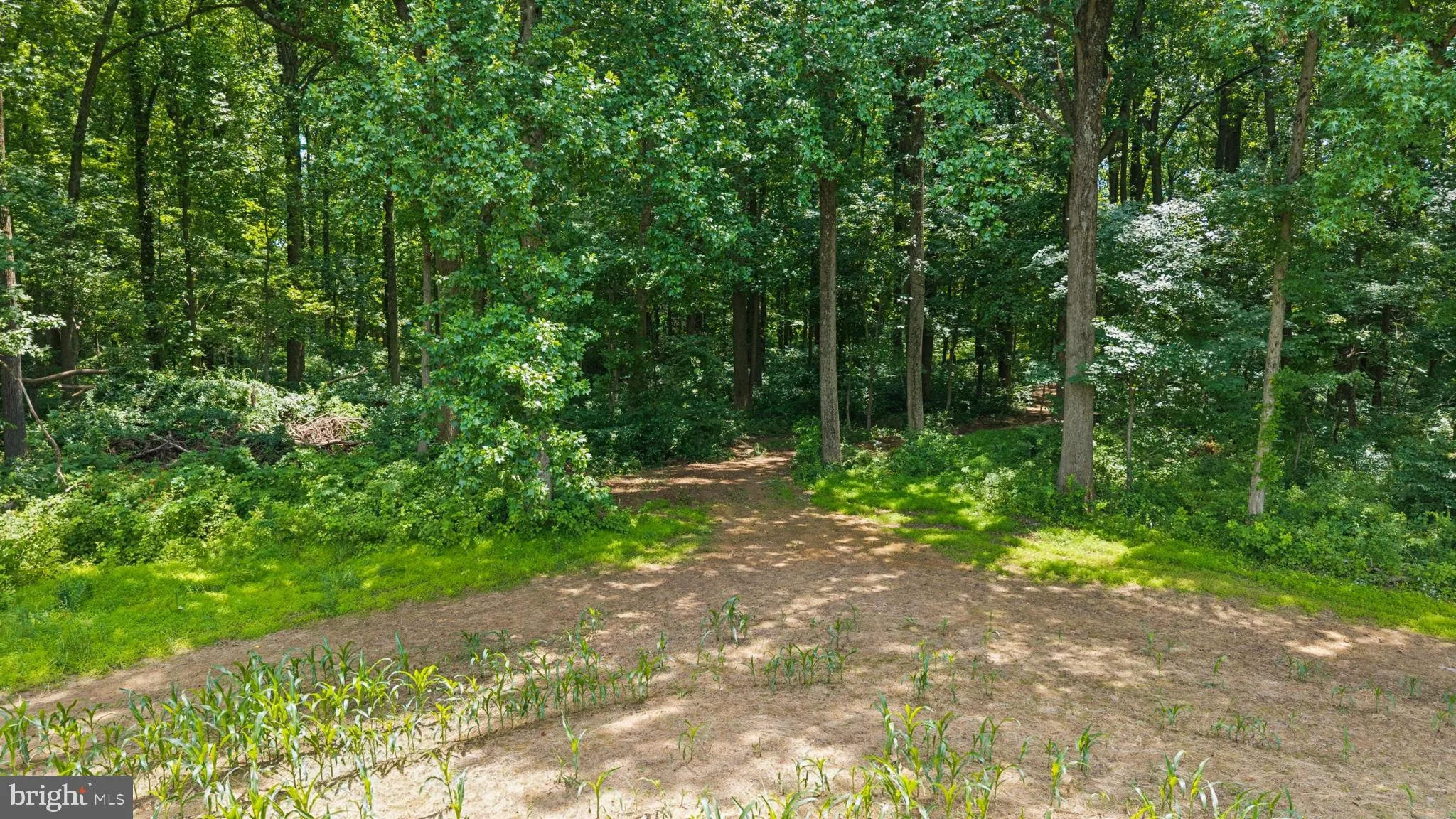 Additional image 83 of 7219 New Cut Road, Kingsville, MD 21087