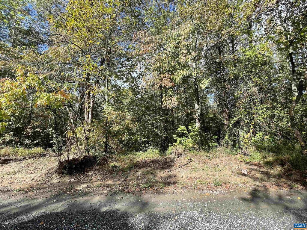 Photo of 0 Riverdale Rd, STANARDSVILLE, VA 22973 (MLS # 670283)