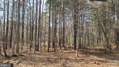 Vacant Land For Sale - Forest Road<br/> GRASONVILLE, MD 21638