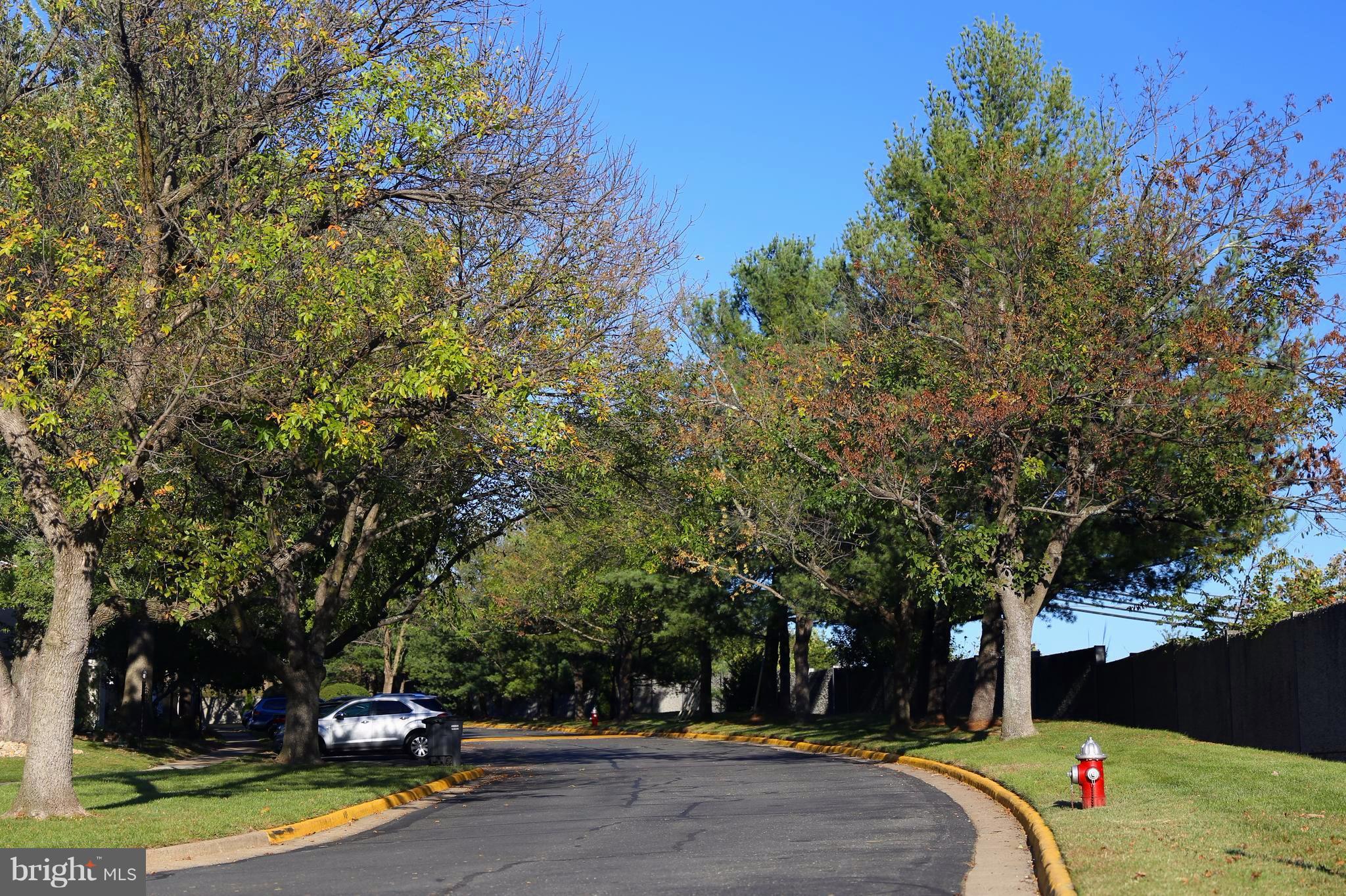 BENTLEY VILLAGE - Residential Lease