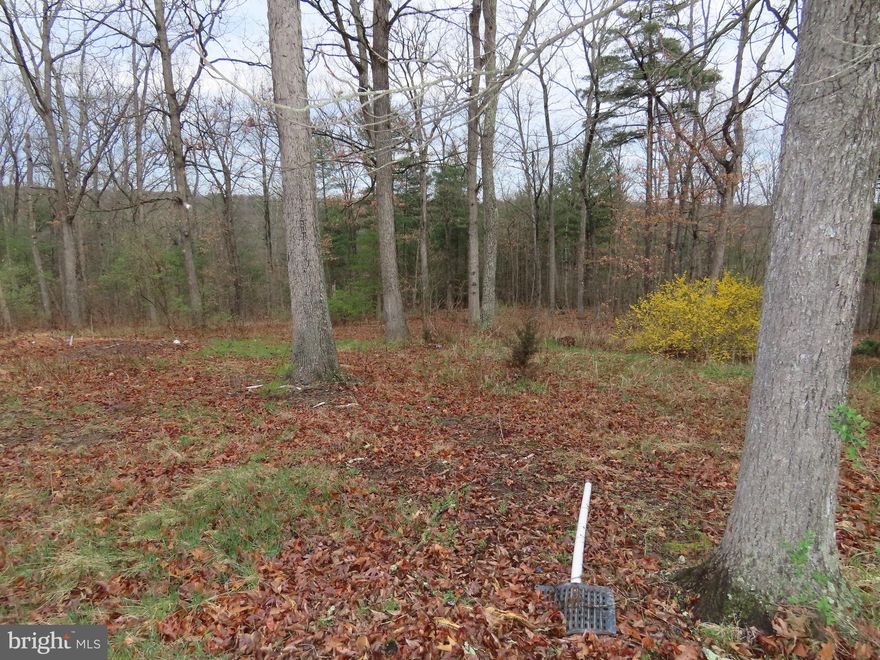 Opportunity to put more trailers on lots as there are 3 separate lots.  Buy one and put a trailer on it, and rent the others.