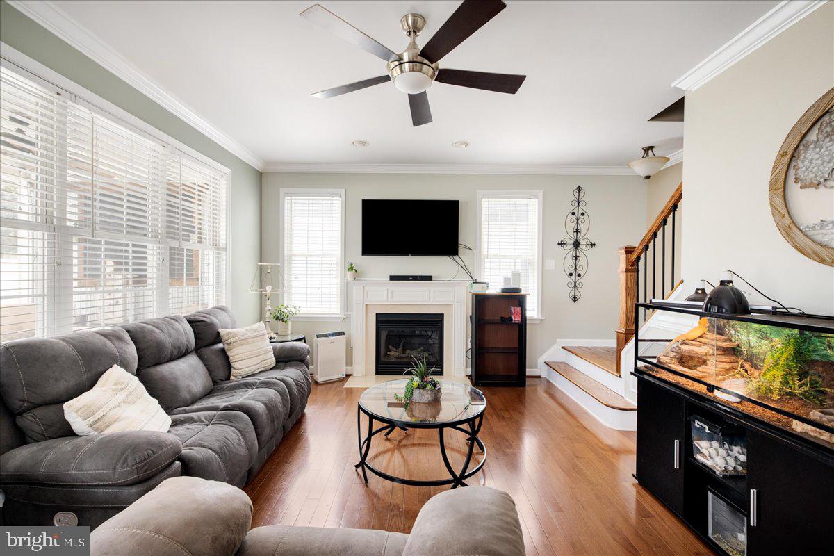 RAVENWING - Residential