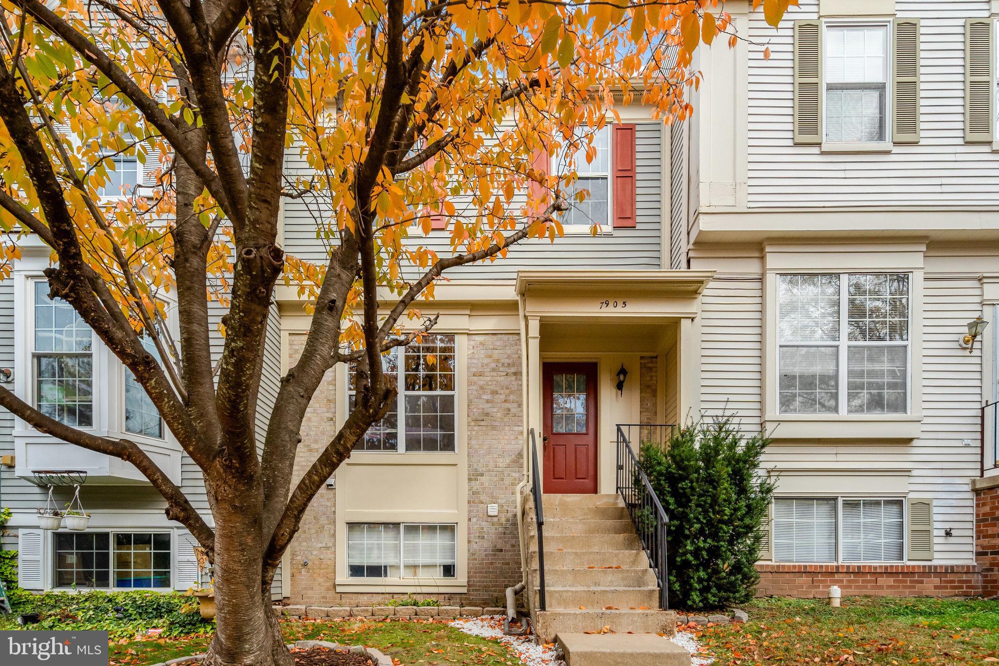 7905 REBEL WALK DRIVE