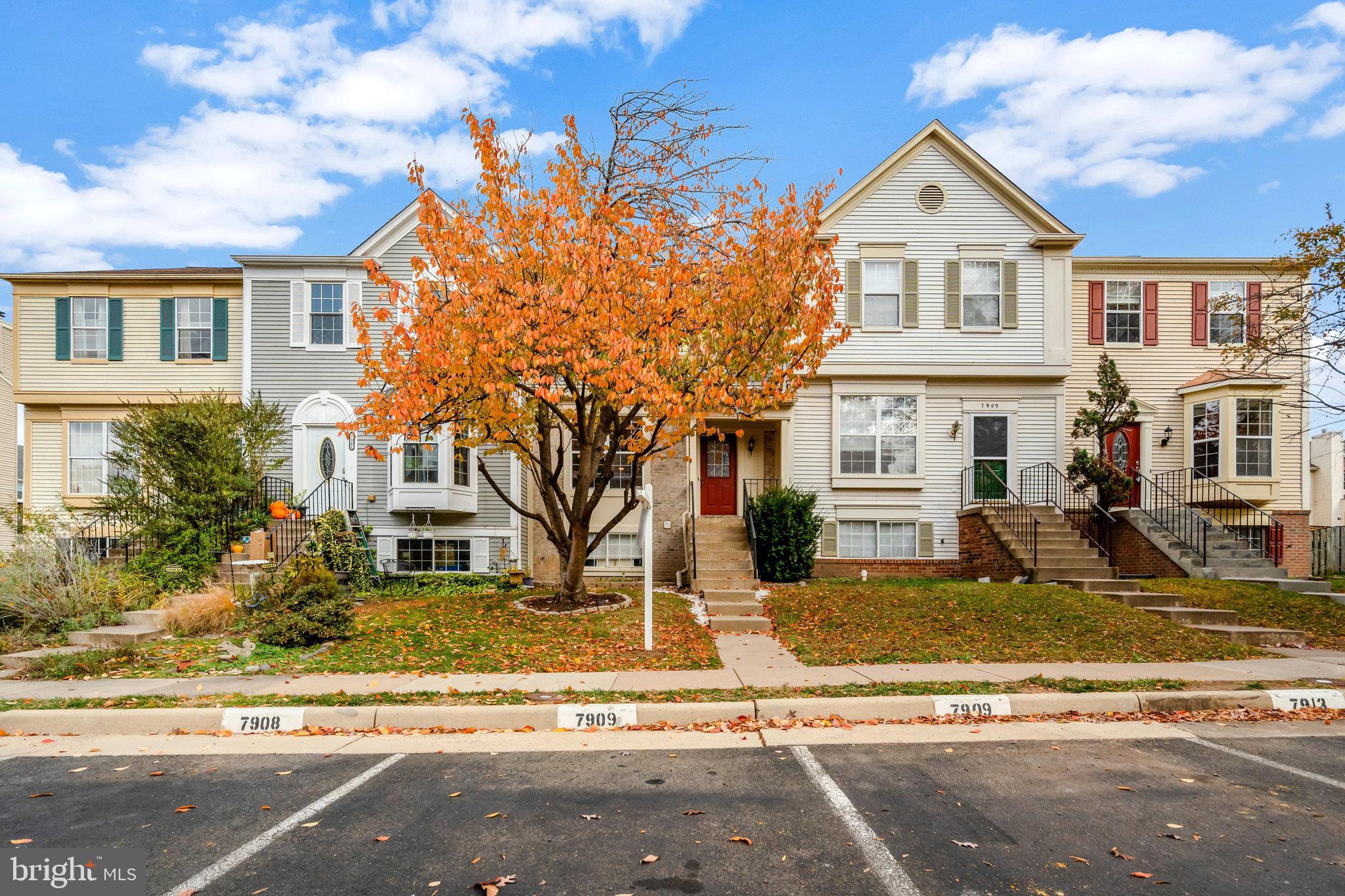 7905 REBEL WALK DRIVE