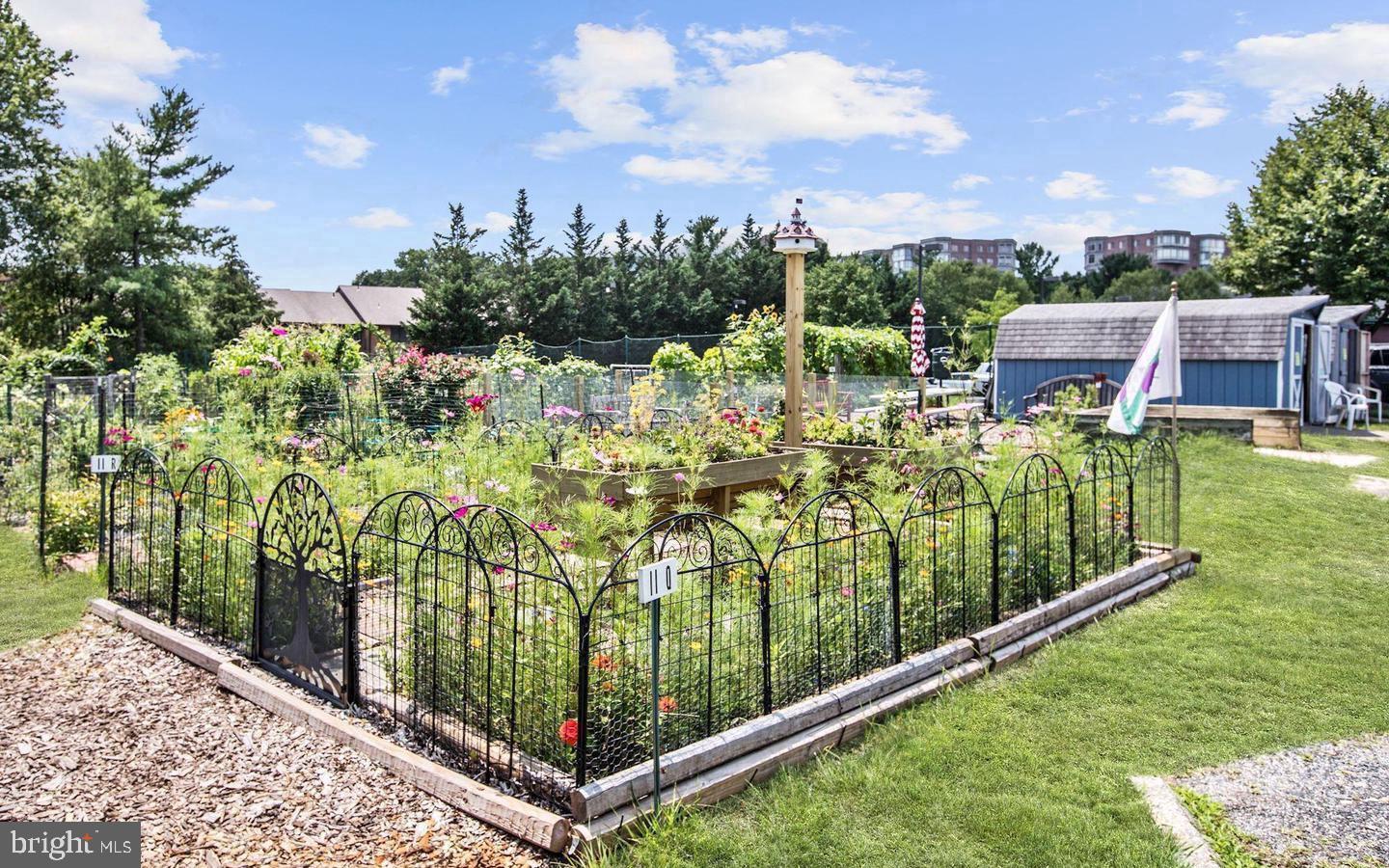 MONTGOMERY MUTUAL COOP - Residential