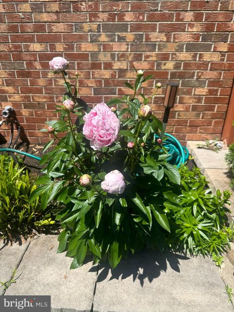 14289 WARRENTON ROAD GOLDVEIN VA 22720