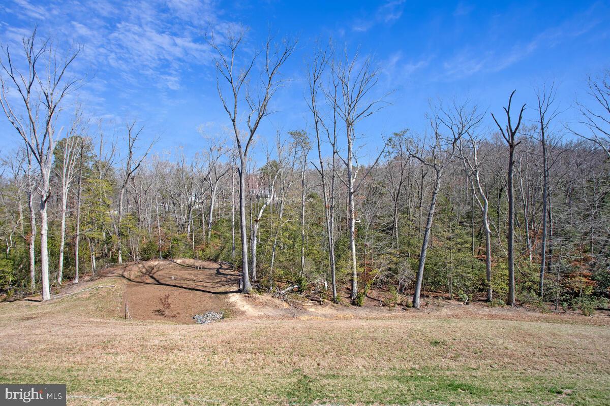THE WOODS AT MYRTLE POINT - Residential