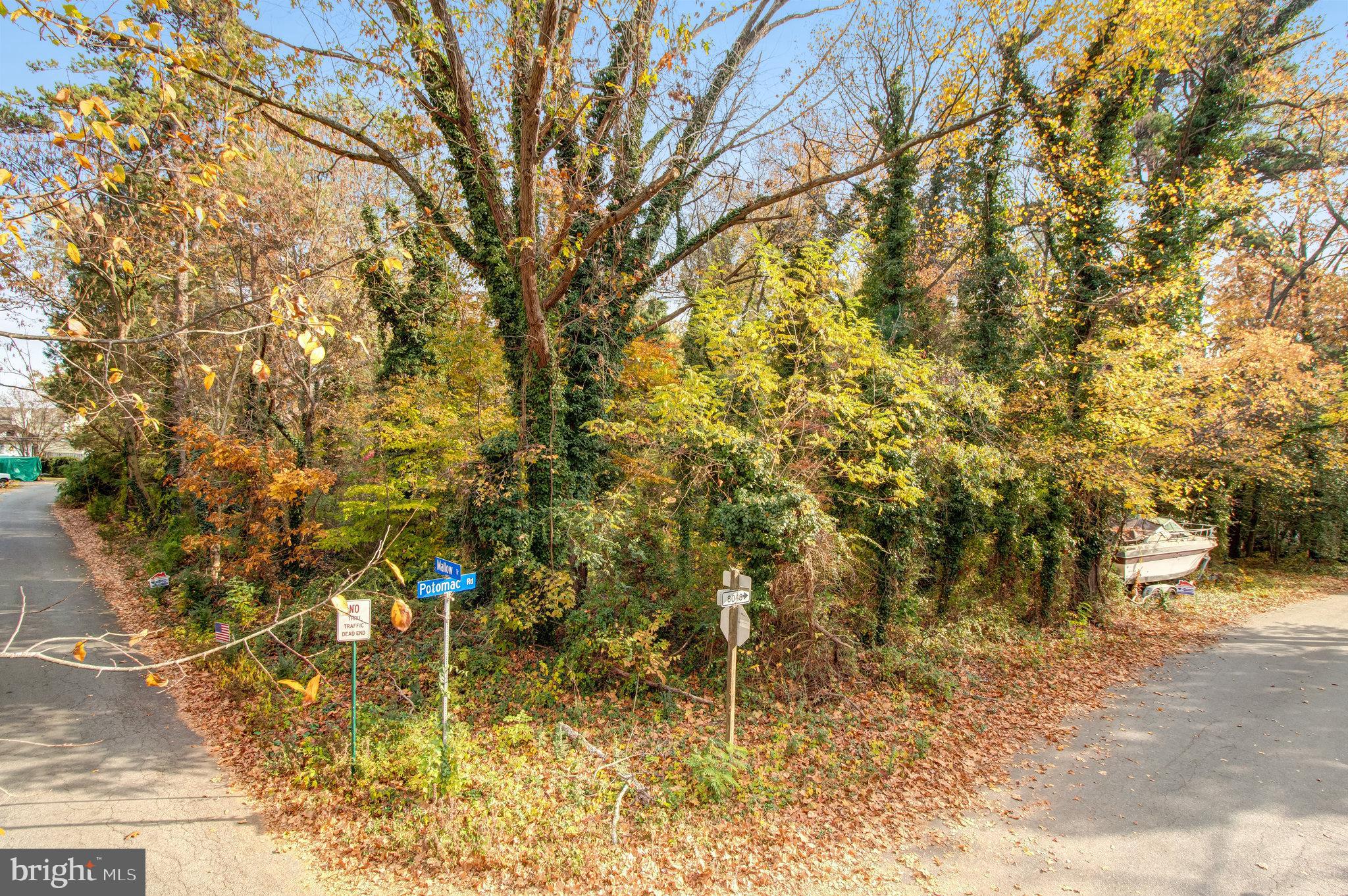 GUNSTON MANOR - Land