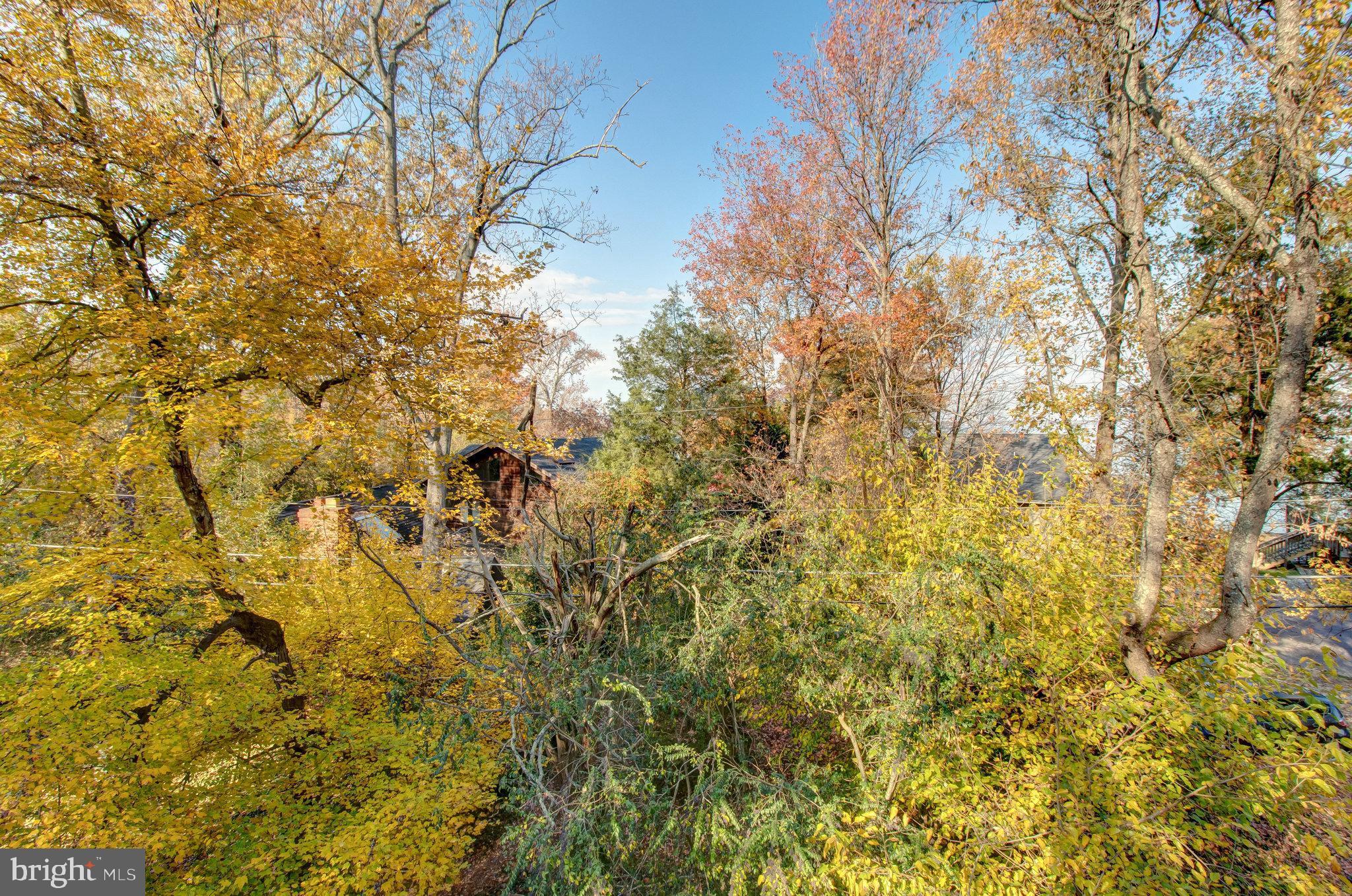 GUNSTON MANOR - Land