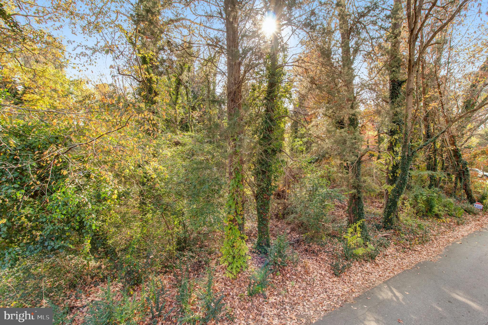 GUNSTON MANOR - Land