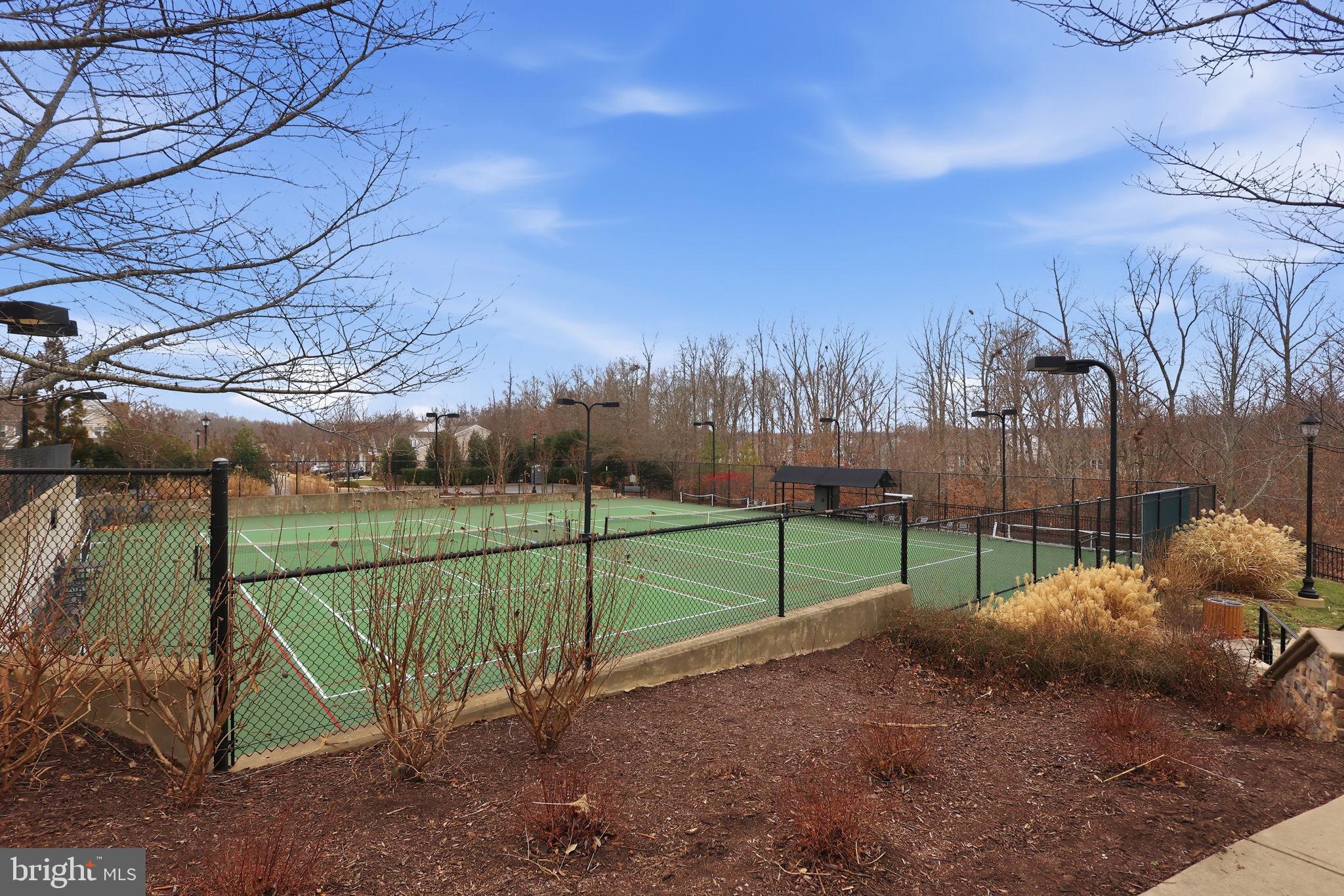 CELEBRATE VIRGINIA NORTH - Residential