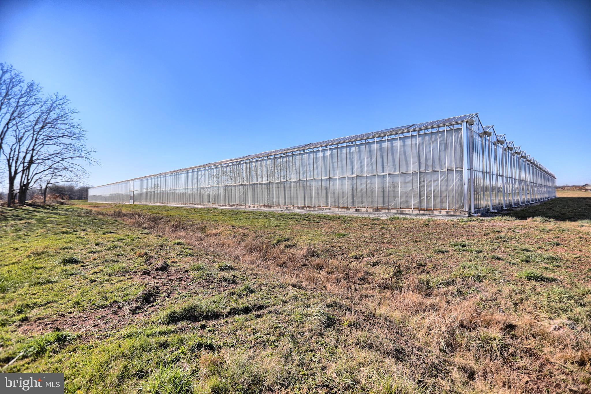 NONE AVAILABLE - Farm