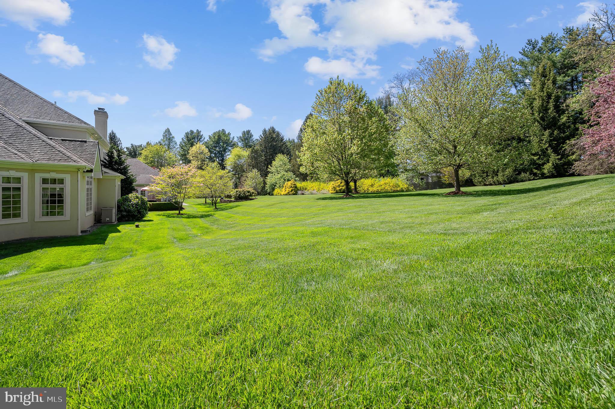 OWLS NEST - Residential