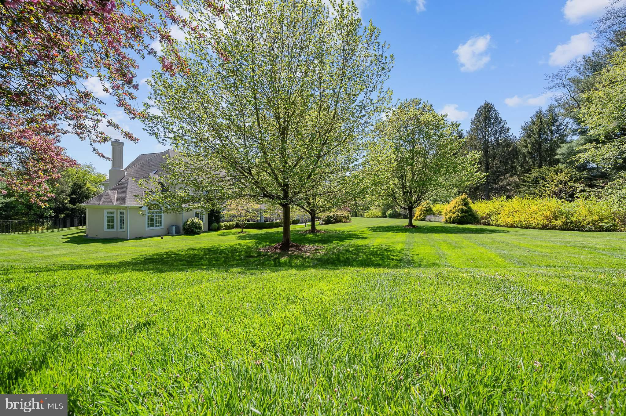 OWLS NEST - Residential