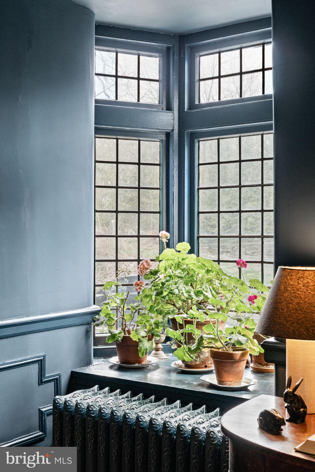 CHESTNUT HILL - Residential