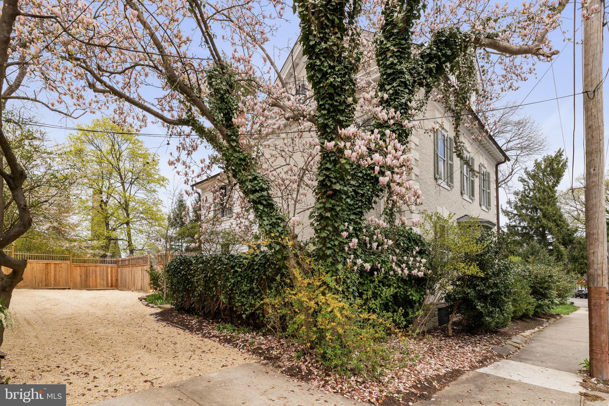 CHESTNUT HILL - Residential