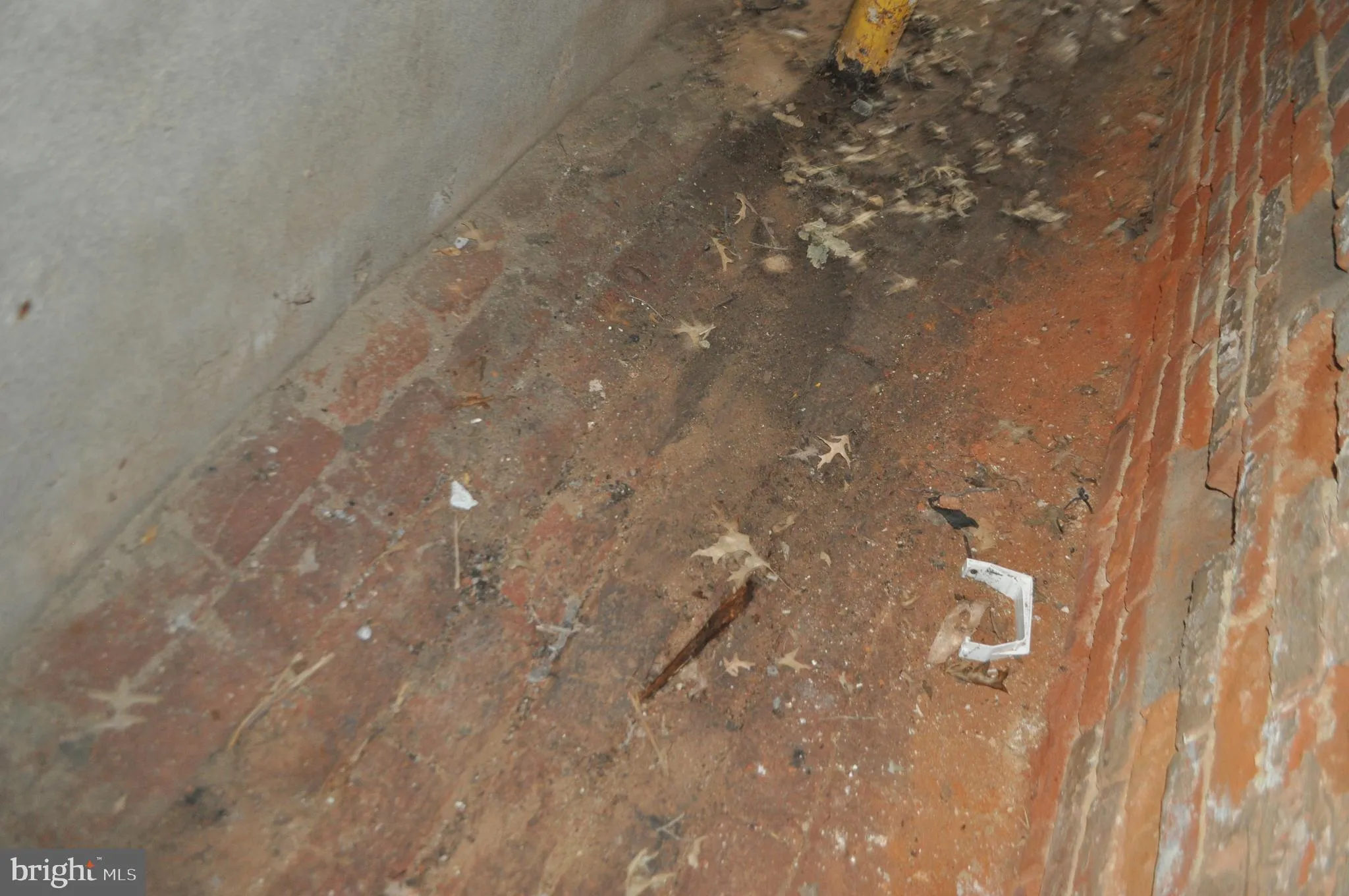 Pottsville, Pennsylvania 17901, United States, 4 Bedrooms Bedrooms, ,Residential,Active,172509