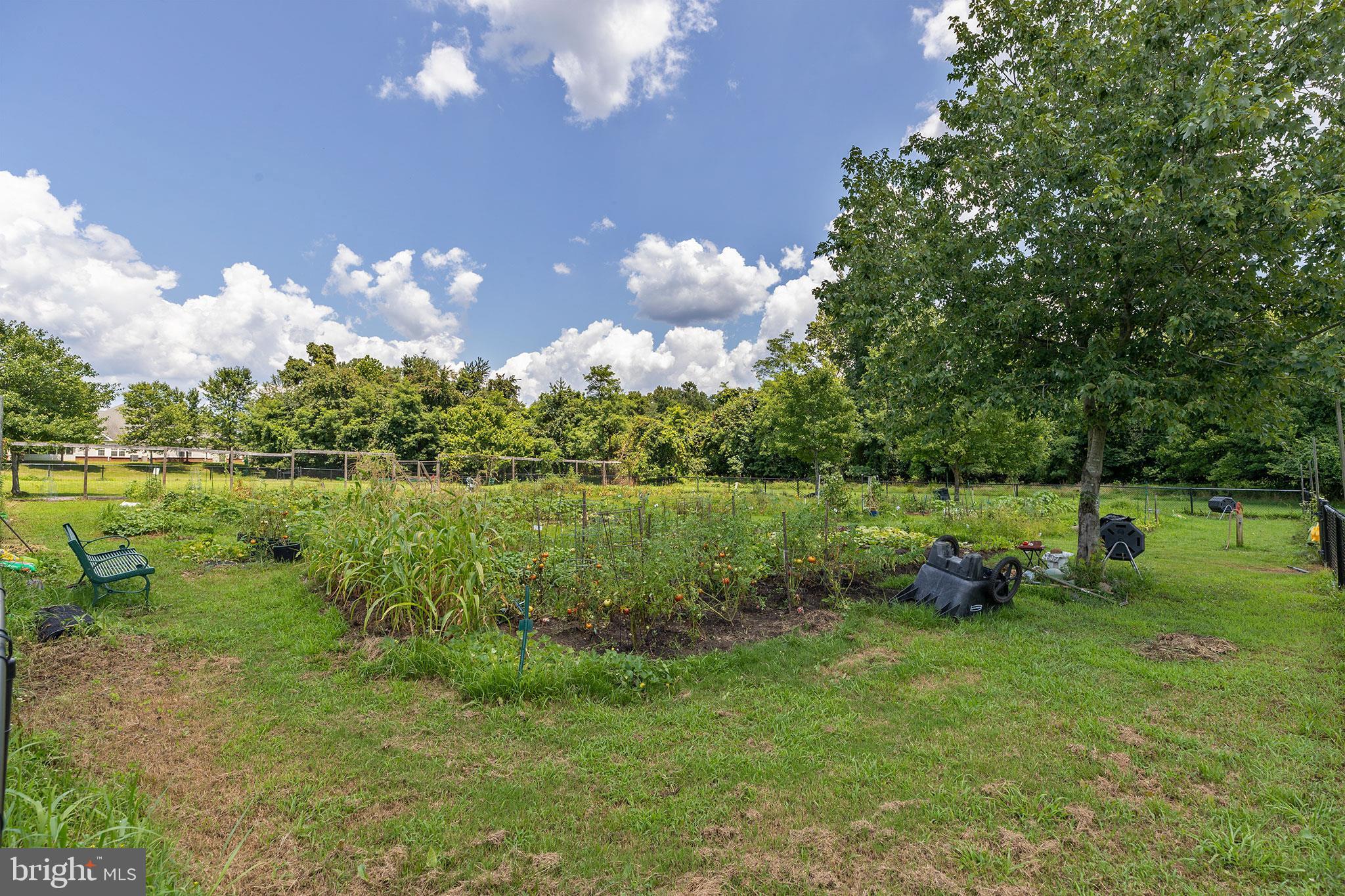 CAMERON GROVE - Residential