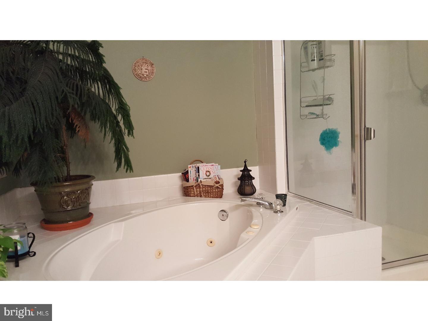 LAUREL WOODS - Residential