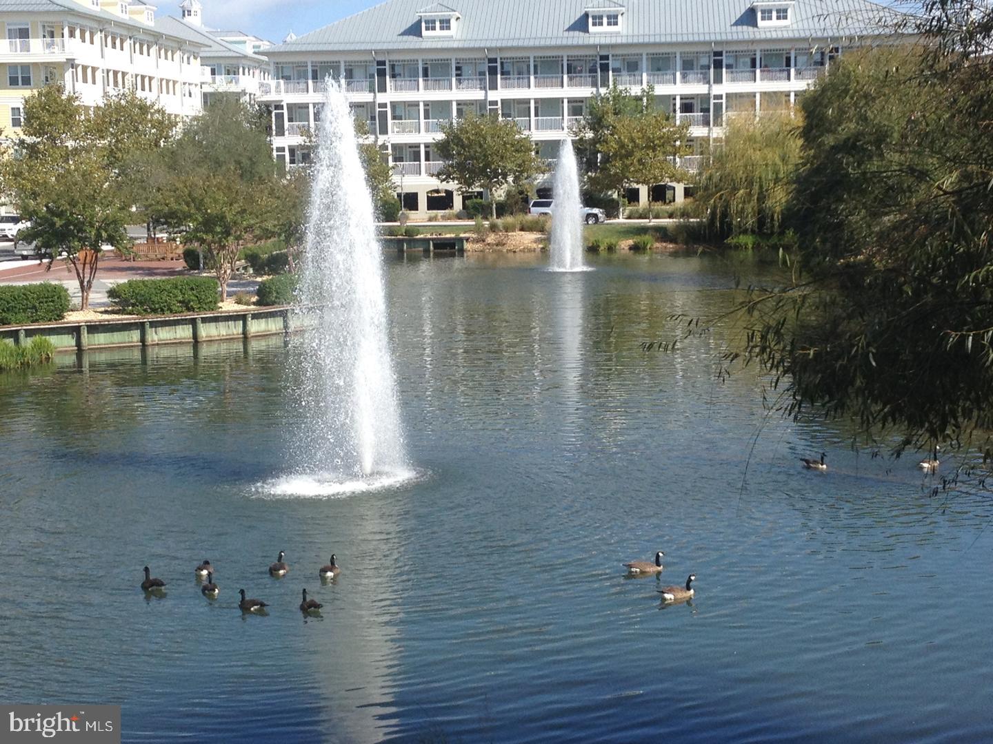 SUNSET ISLAND - Residential