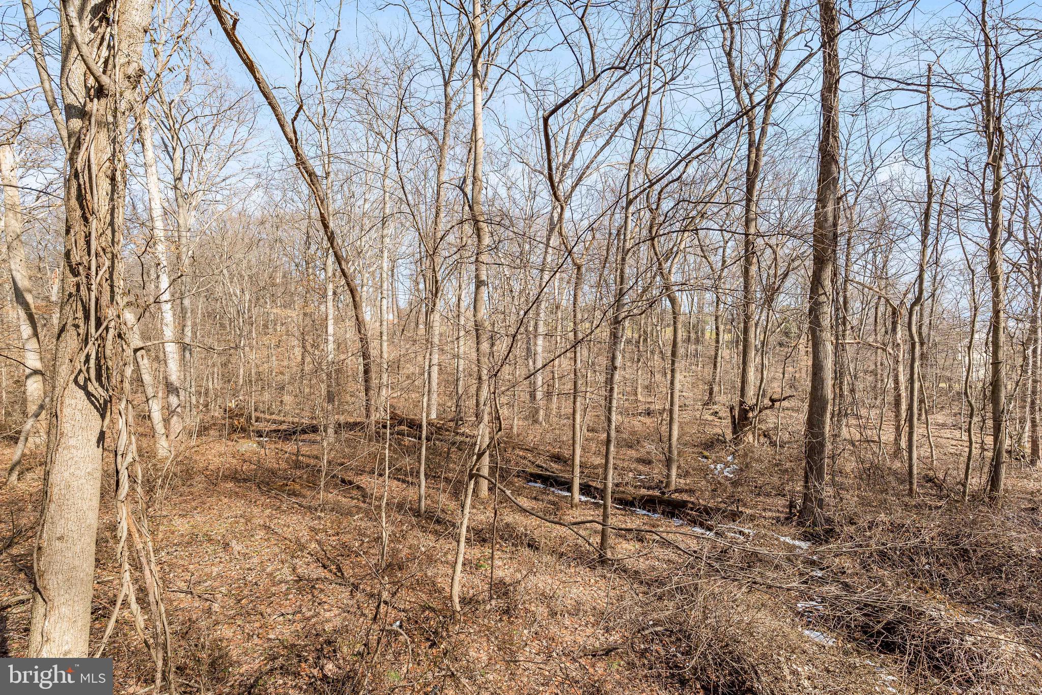 CONOWINGO - Residential