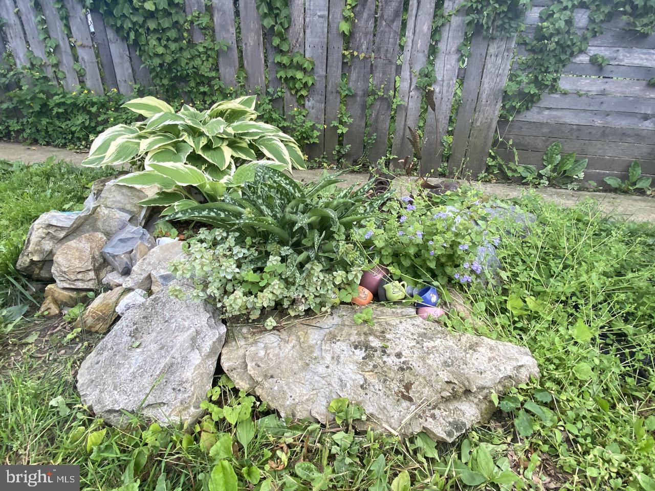 CHESTNUT HILL - Residential