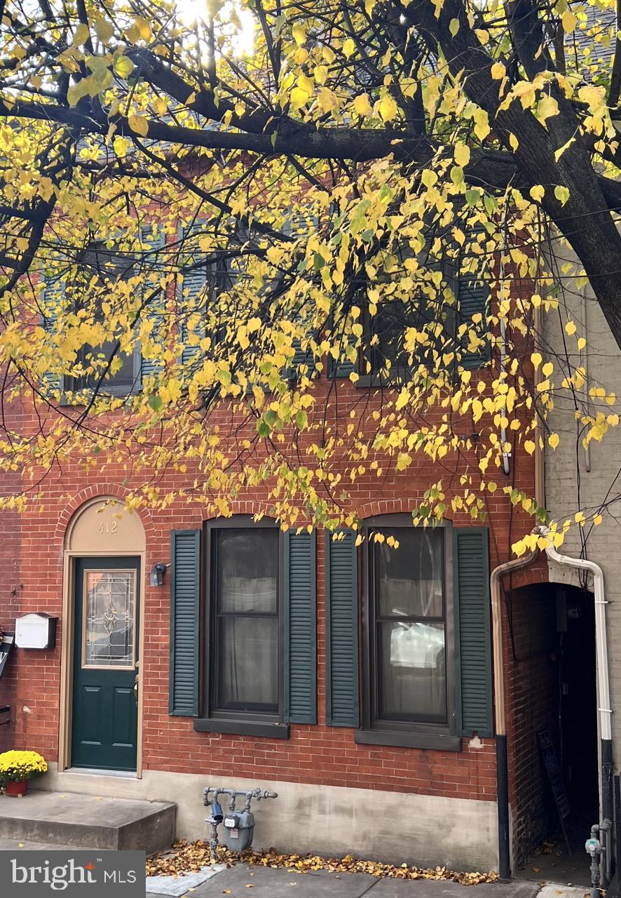 CHESTNUT HILL - Residential