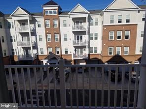 24636 WOOLLY MAMMOTH TERRACE 303