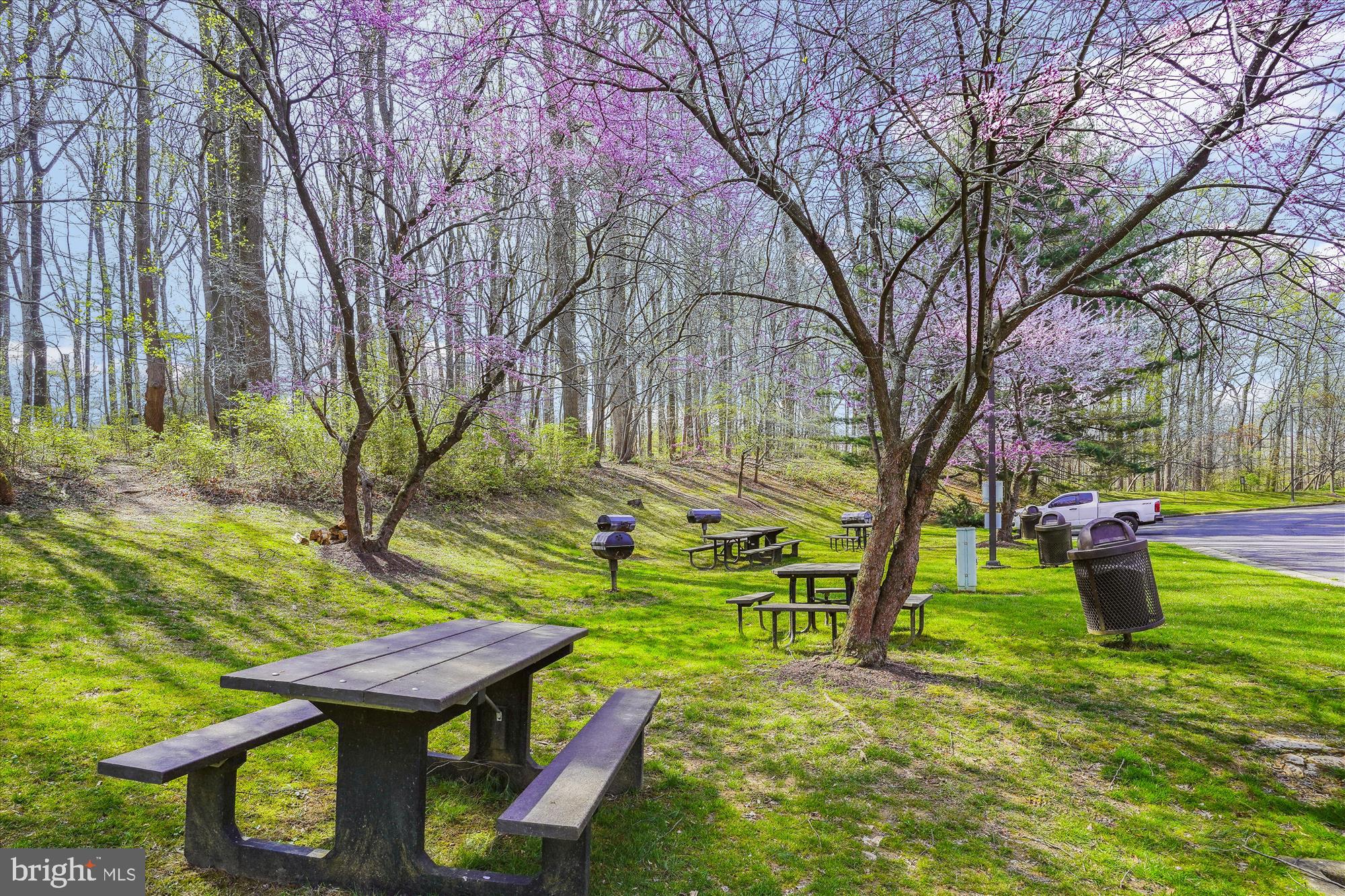 RENAISSANCE AT TYSONS - Residential Lease