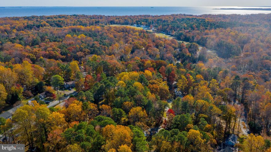 Here’s your chance to build your dream home on a beautiful .23-acre lot in the Chesapeake Ranch Estates community. Enjoy the peaceful, wooded surroundings along with access to private beaches, a lake, playgrounds, and more. Conveniently located near shopping, schools, and local attractions, this property offers the perfect mix of relaxation and convenience. Whether you’re planning your forever home or an investment, this lovely Calvert County location has endless potential.