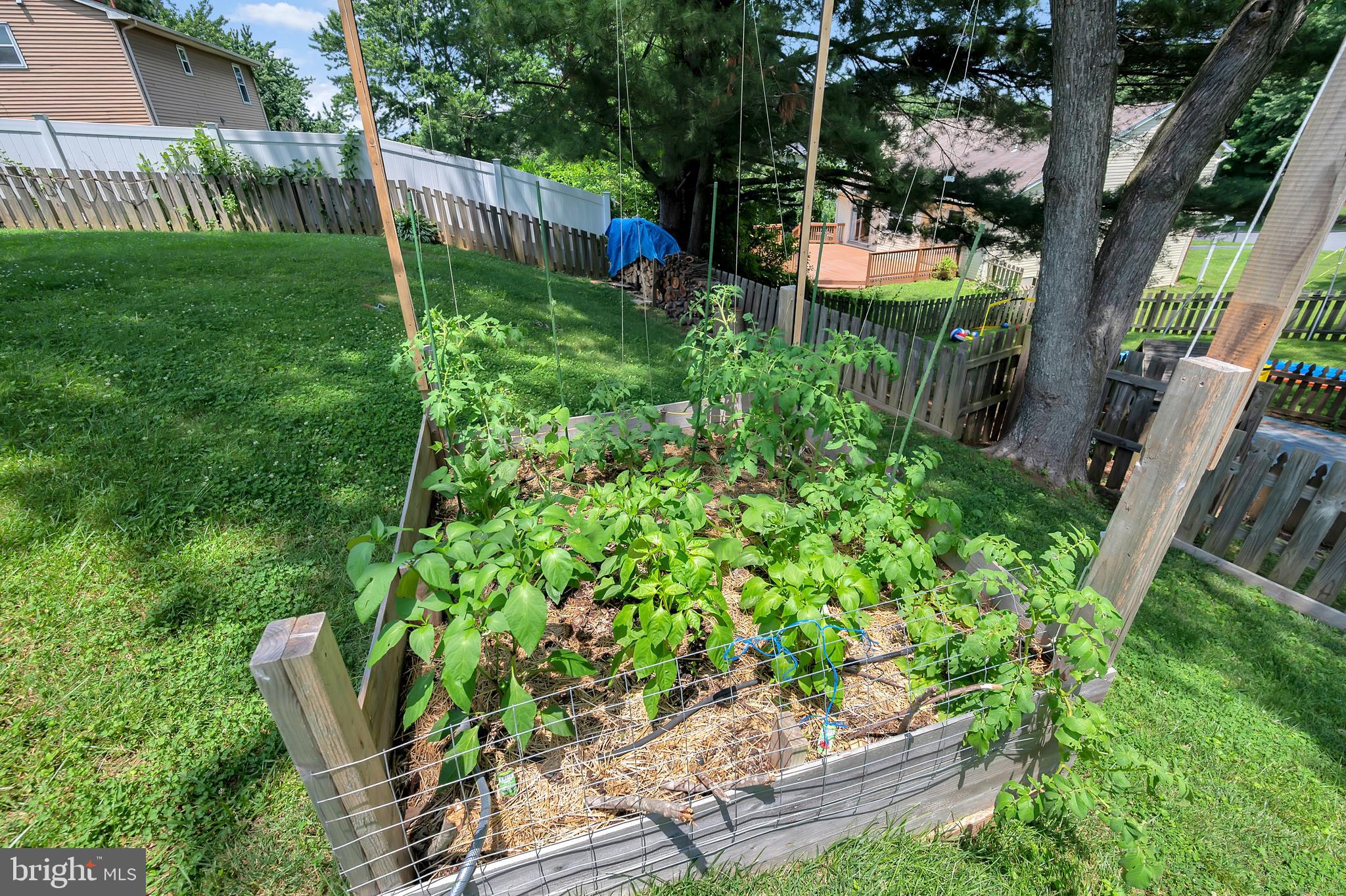 DALE CITY - Residential