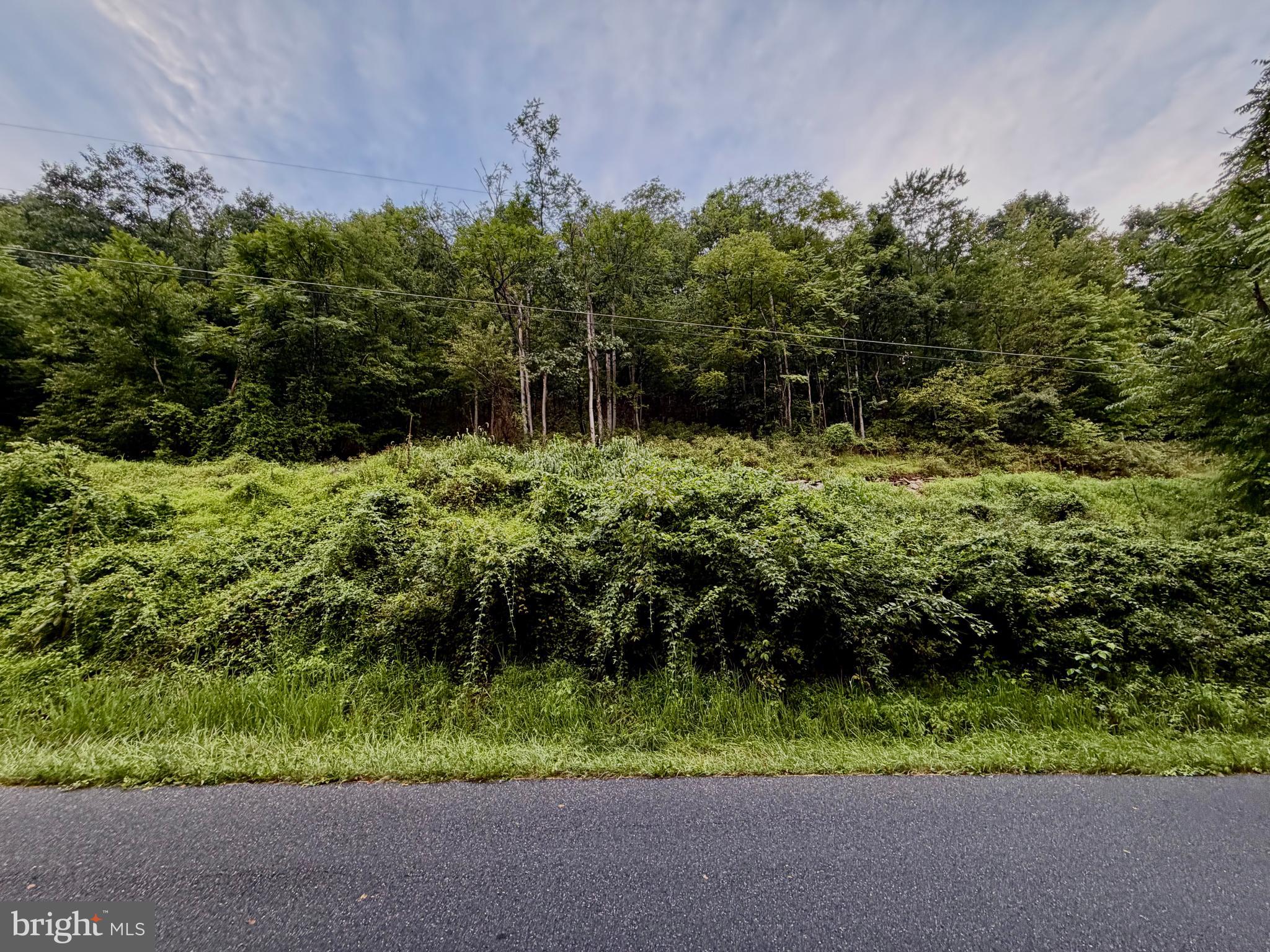 LOT 11B LUCAS HOLLOW ROAD