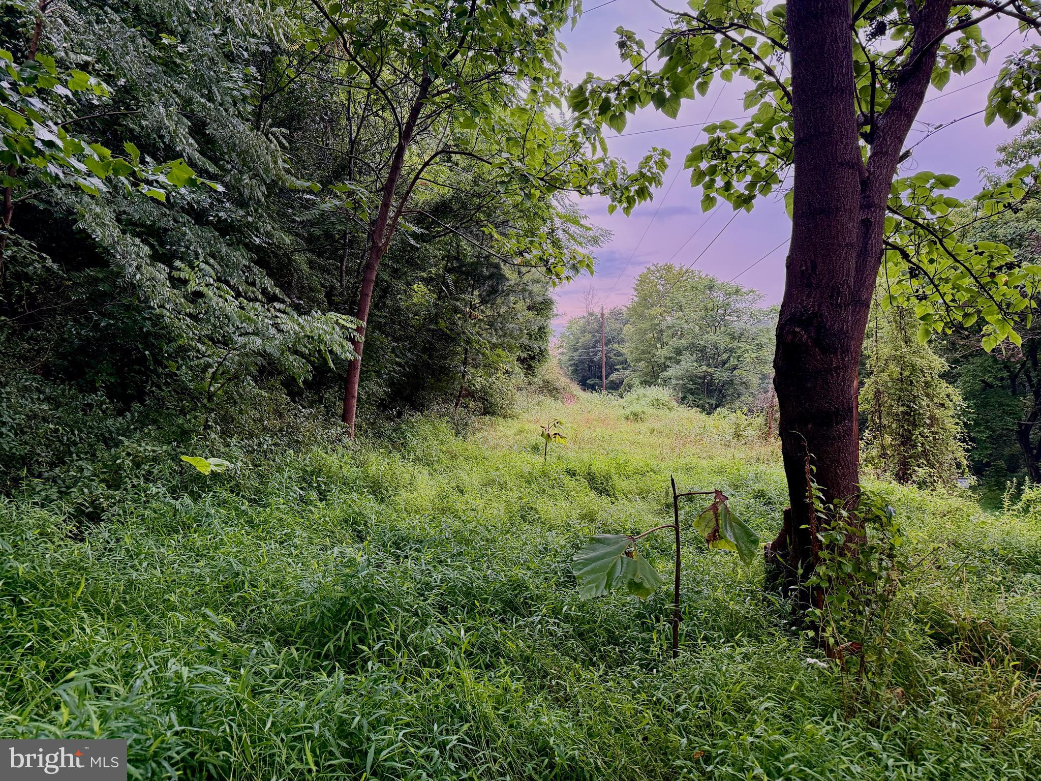 LOT 11B LUCAS HOLLOW ROAD