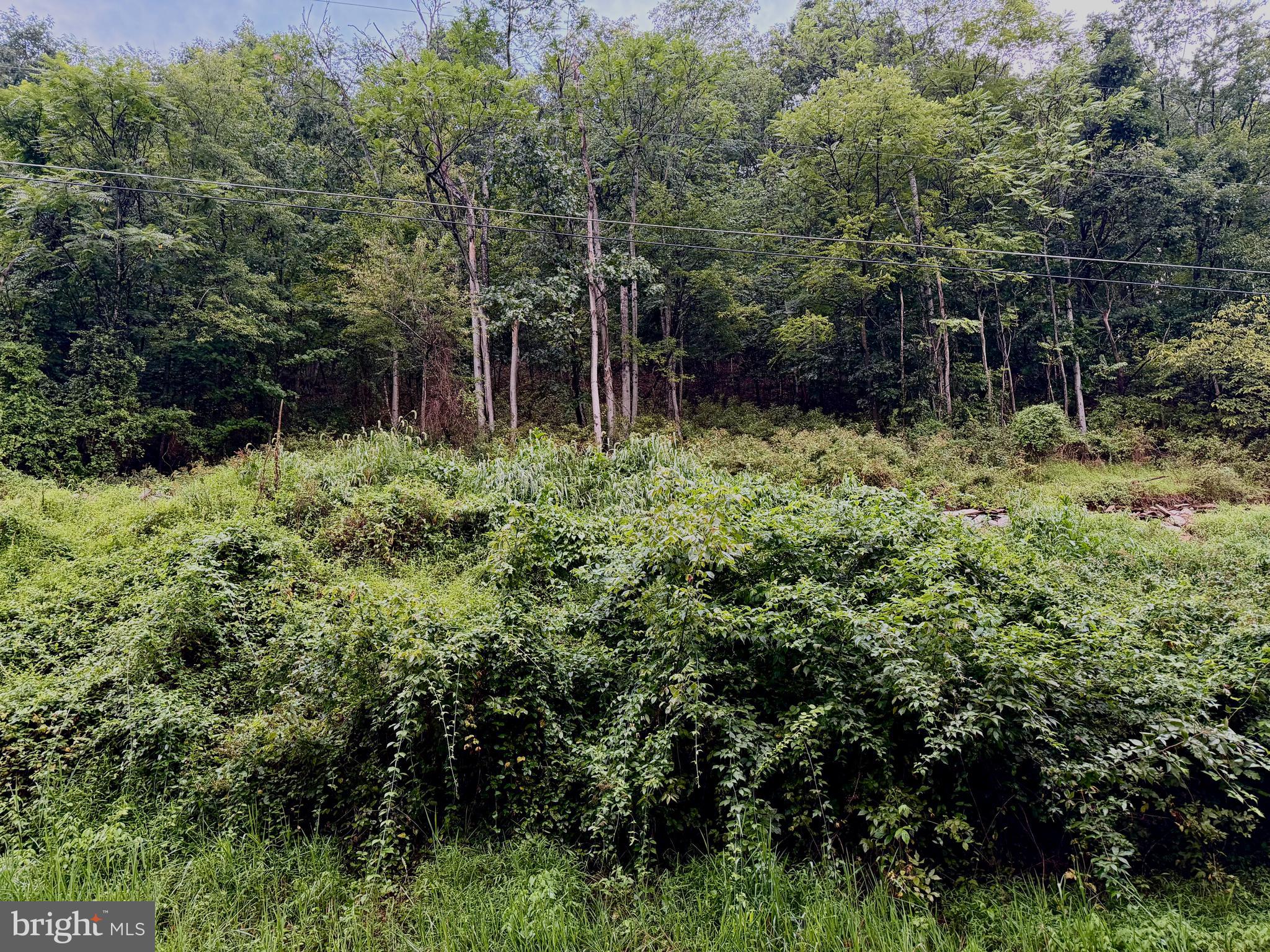 LOT 11B LUCAS HOLLOW ROAD