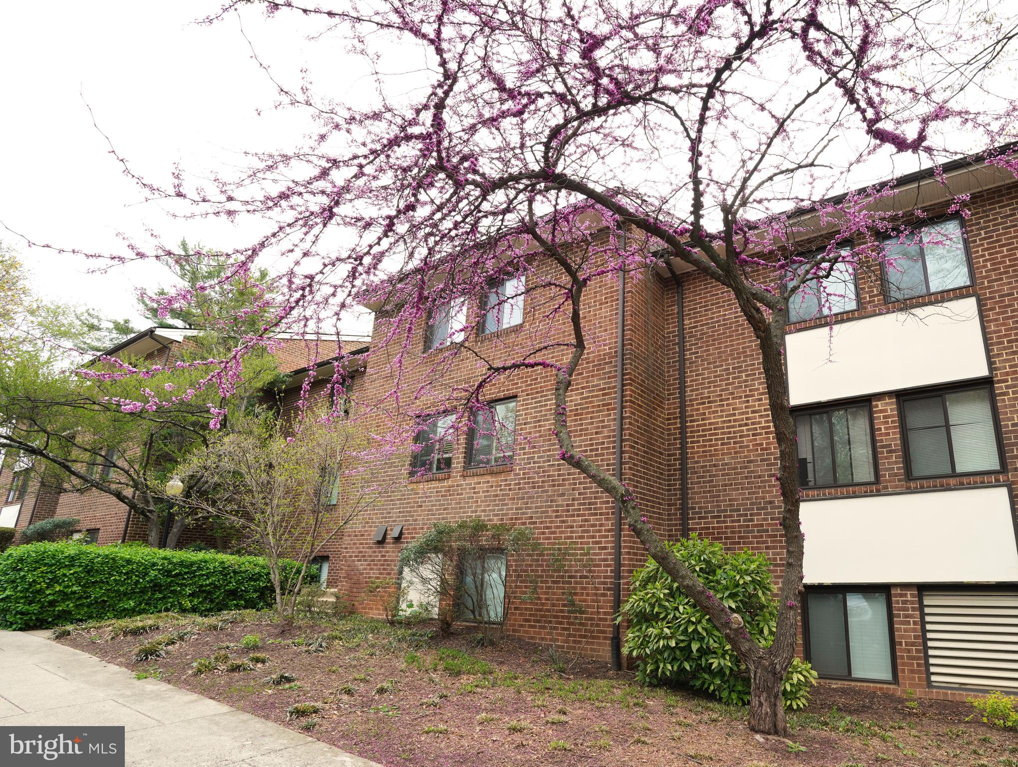 1432 NORTHGATE SQUARE 32/11A