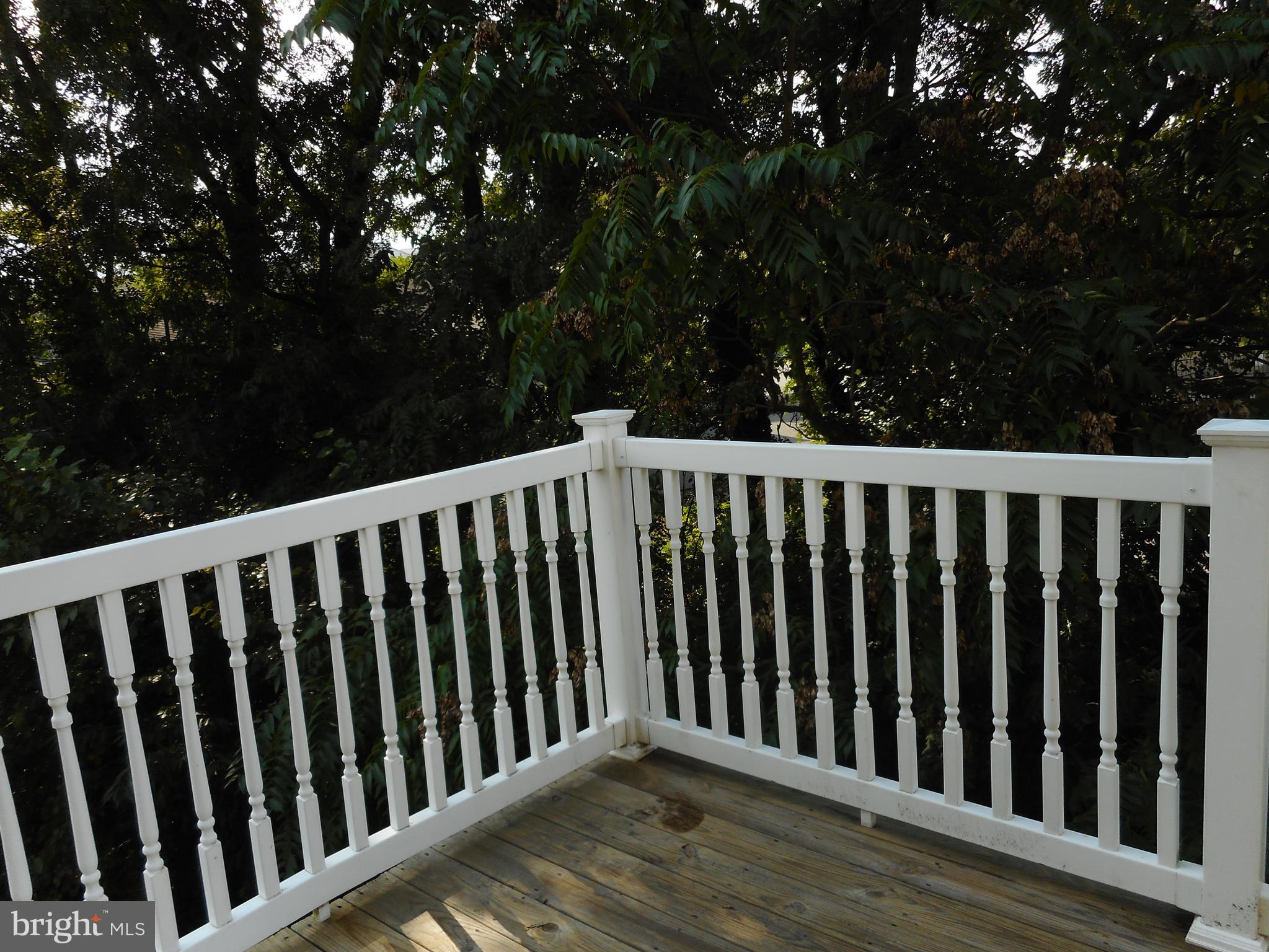 SENECA POINTE - Residential Lease