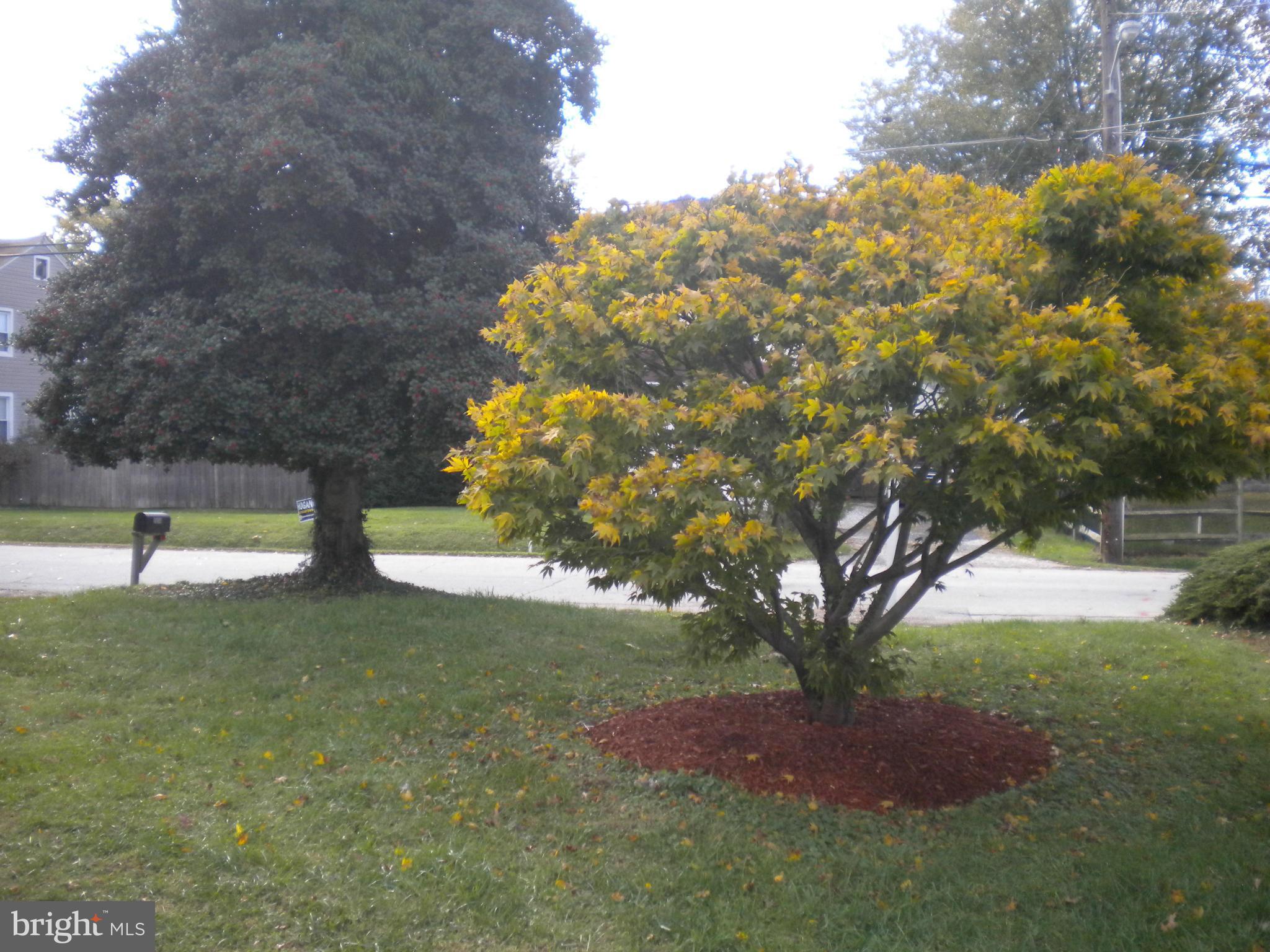 ROSEMONT - Residential