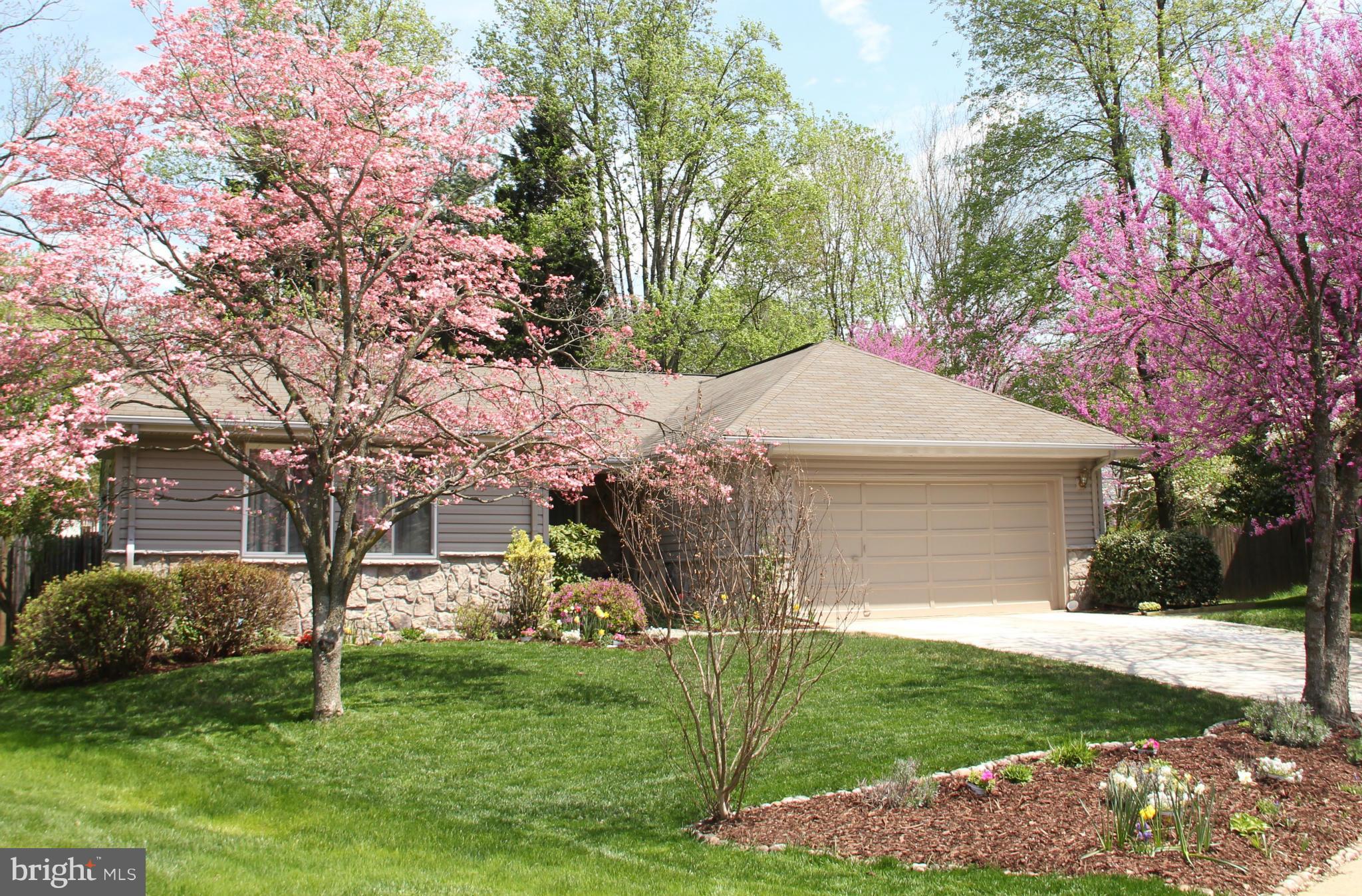 TYSONS WOODS - Residential