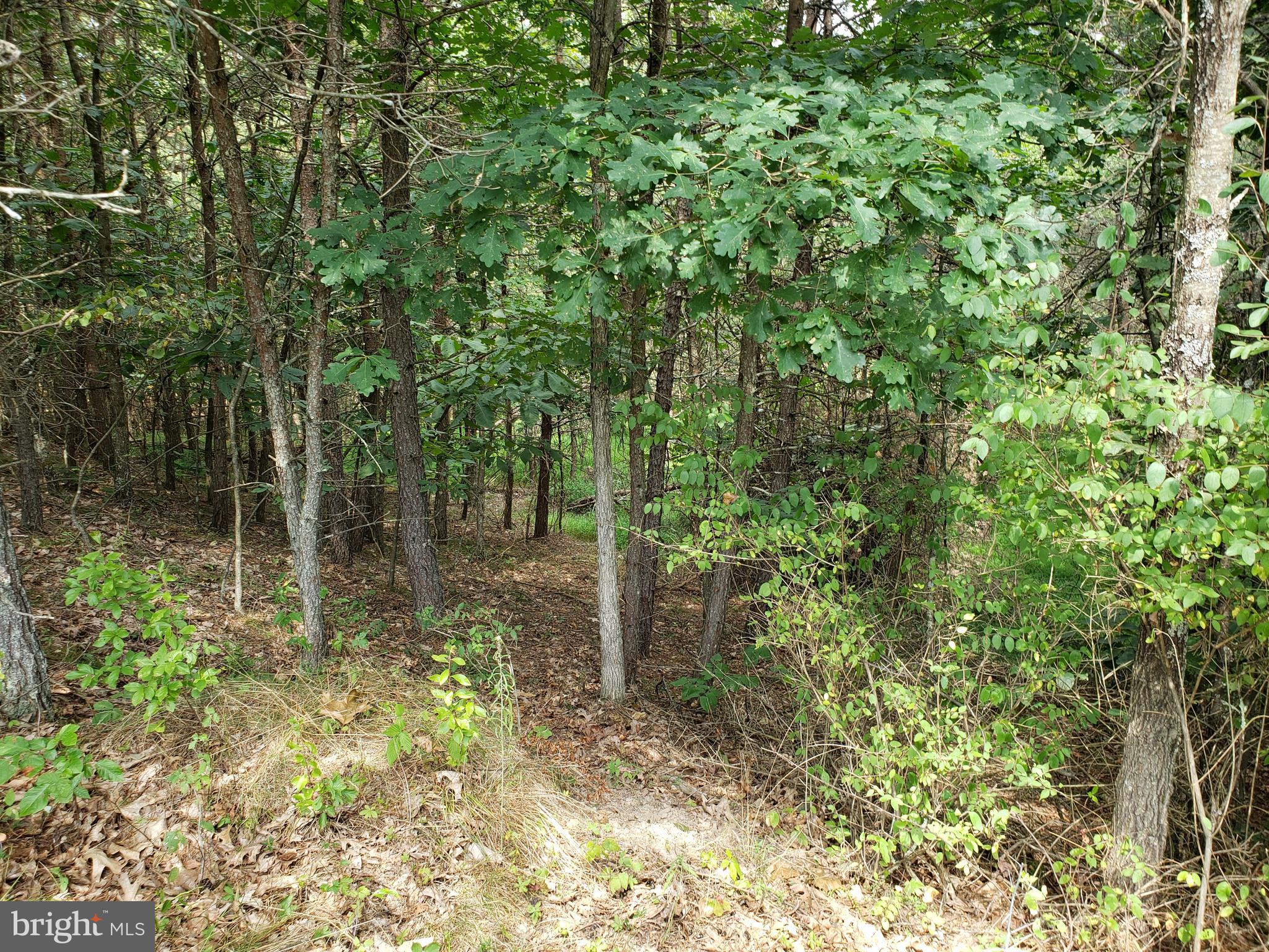 BELLWOOD ESTATES - Residential