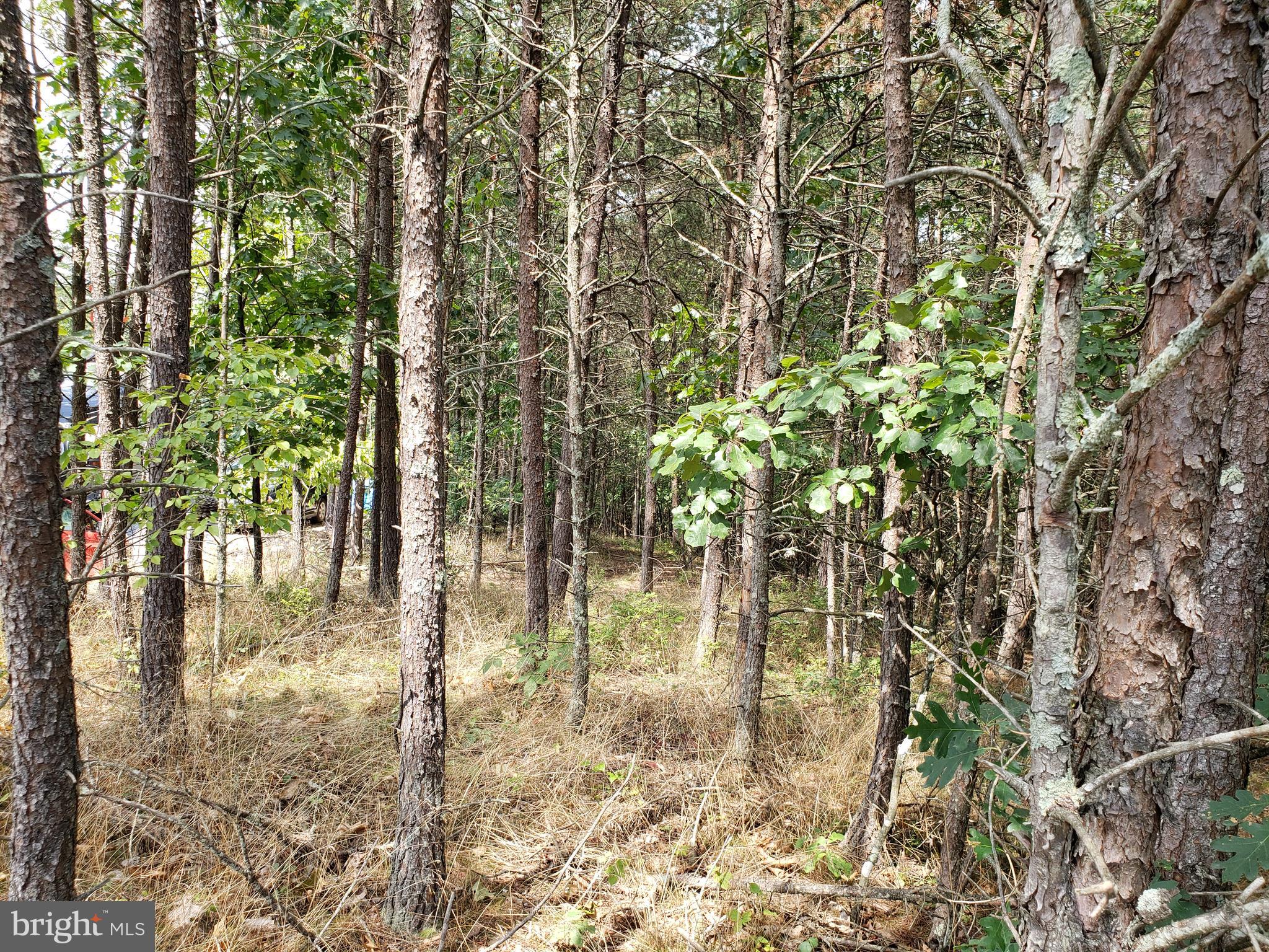 BELLWOOD ESTATES - Residential