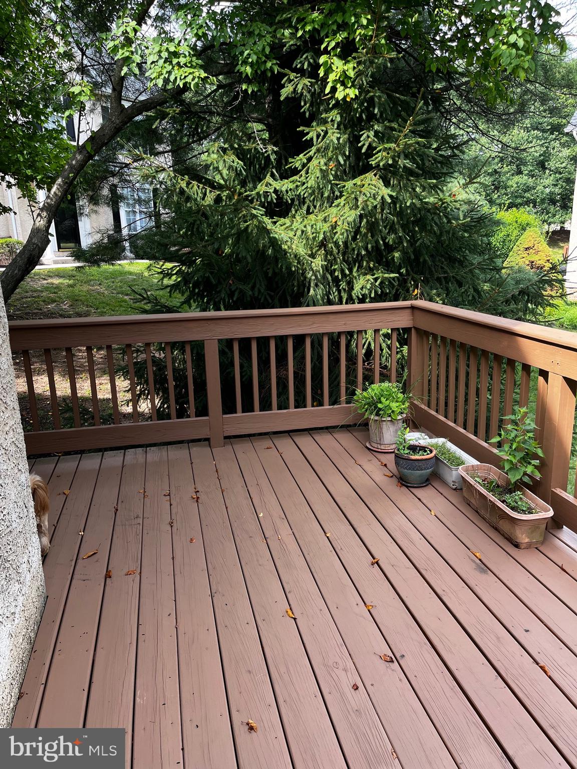 YORKSHIRE OF BLUE - Residential