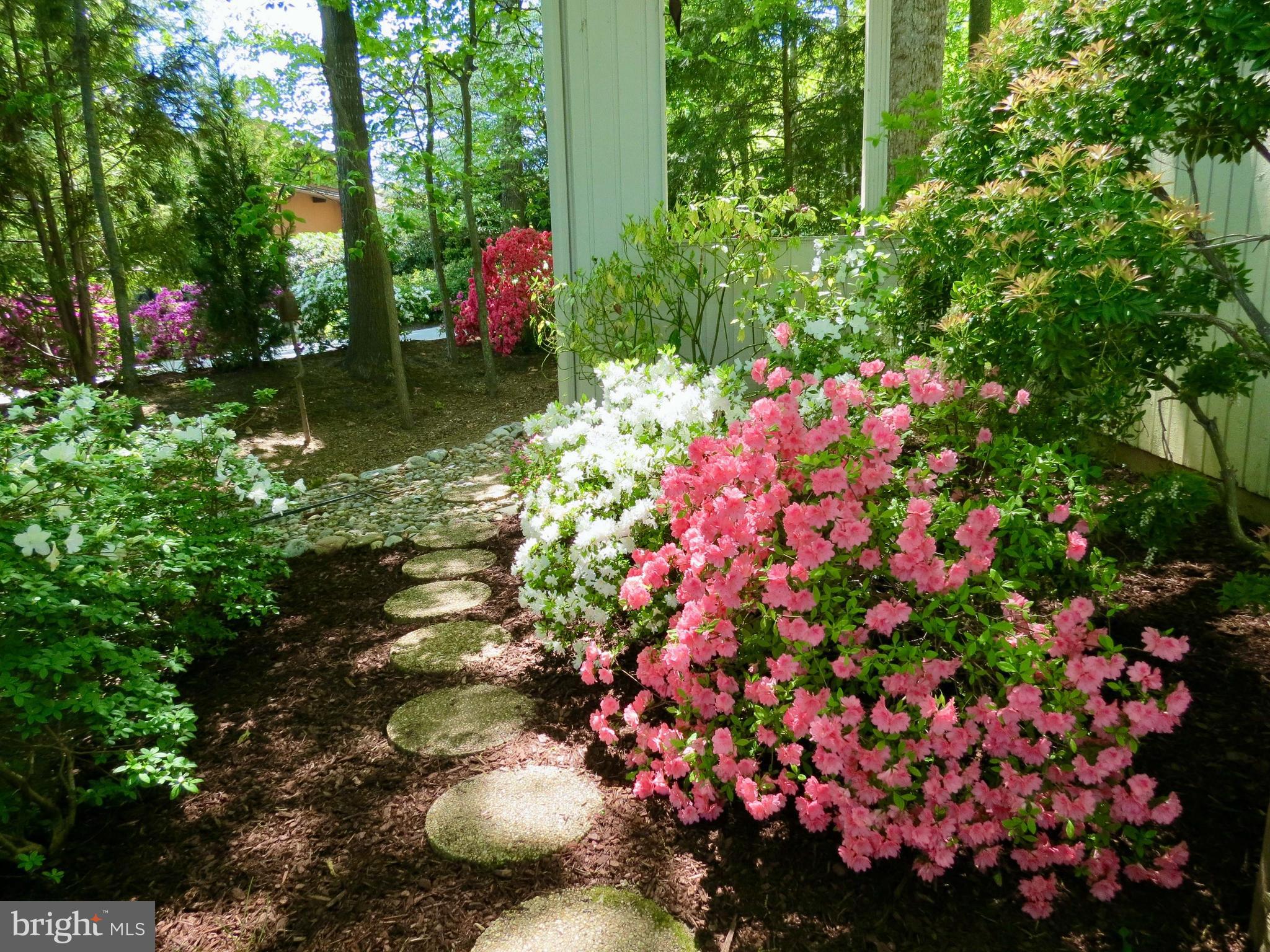 RESTON - Residential