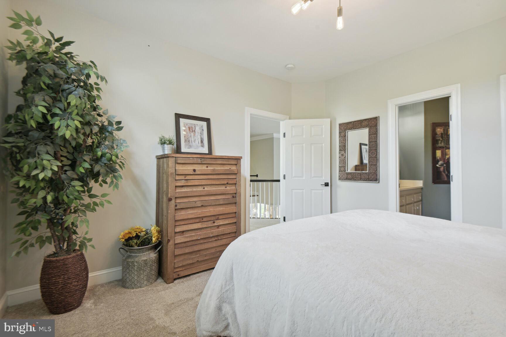 ESTATES AT LOWES - Residential