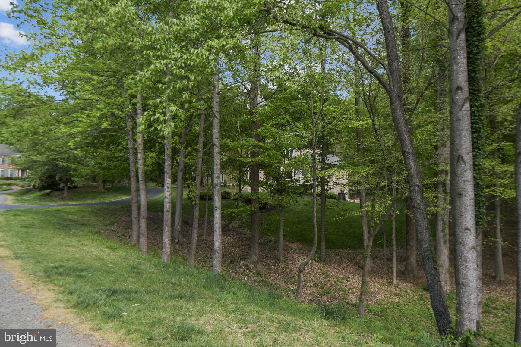 ESTATES AT LOWES - Residential